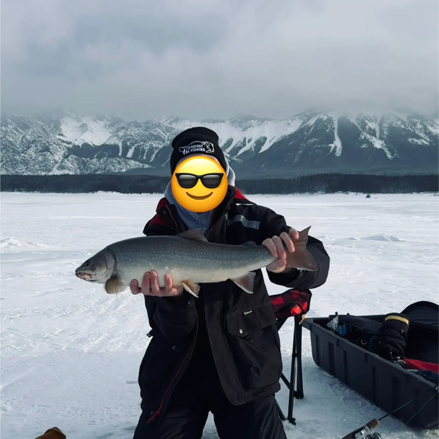The most recent Dolly varden catches on Fishbrain