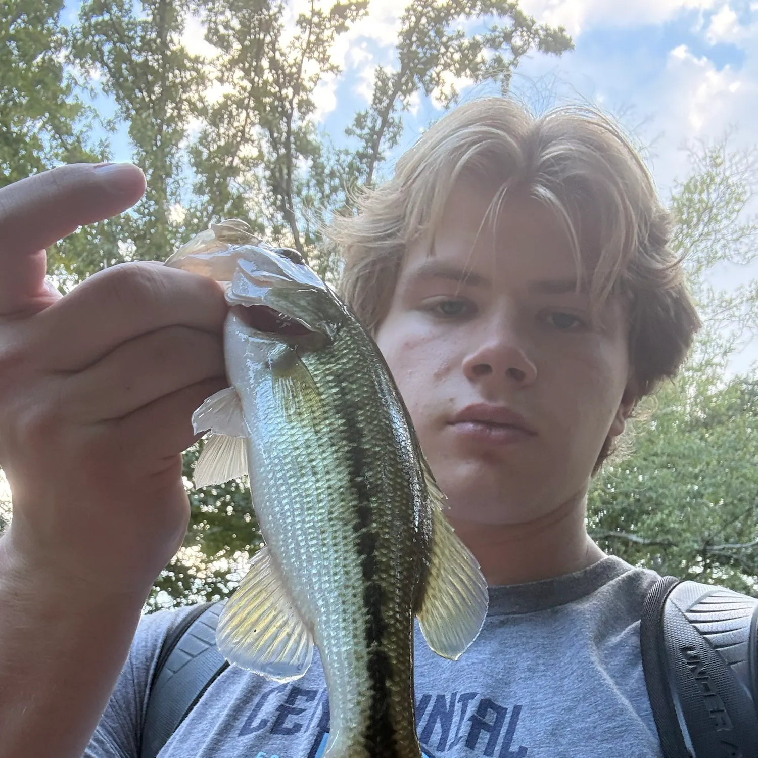 Spotted bass caught on Fishbrain