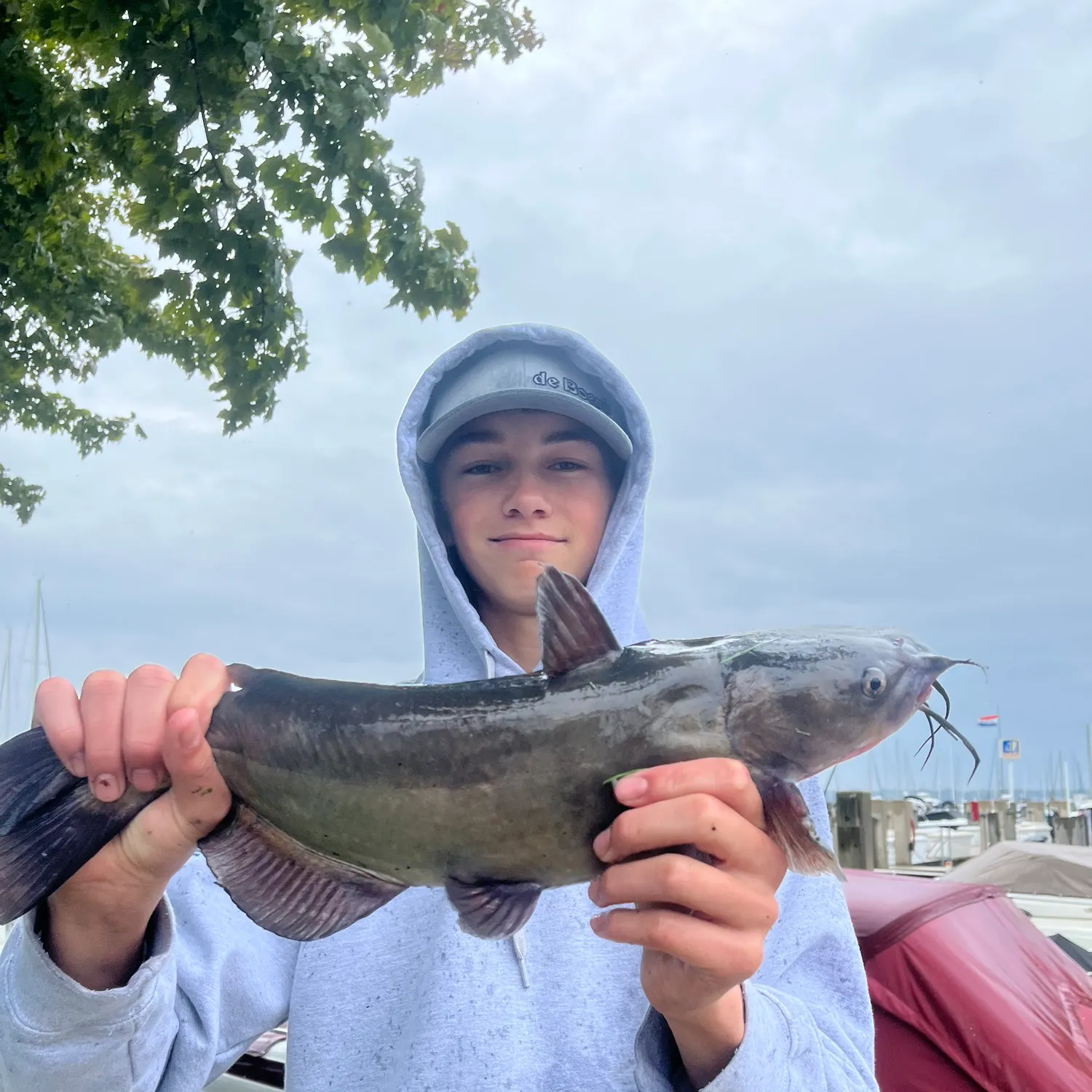 Channel catfish caught on Fishbrain