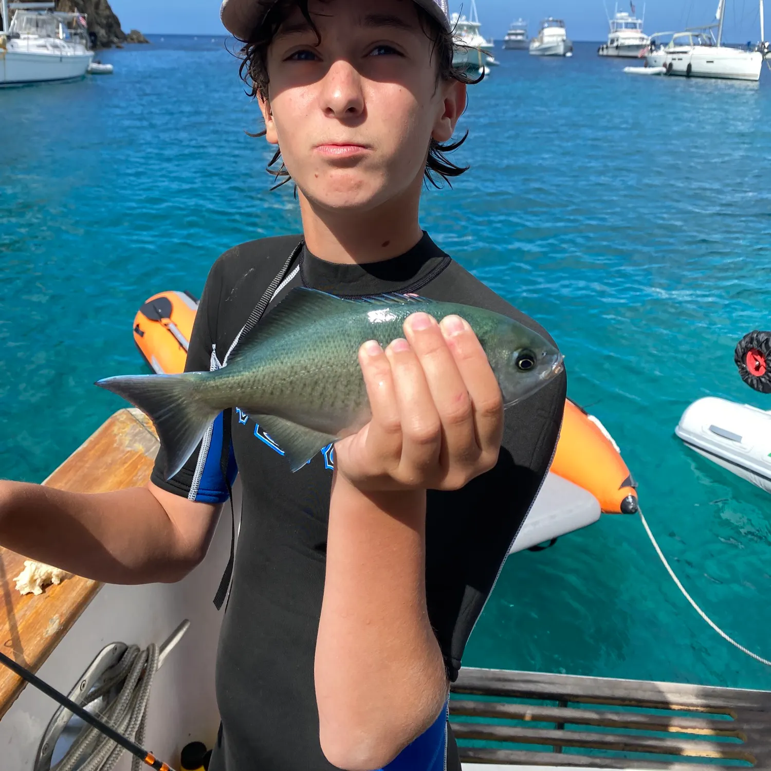 The most recent Halfmoon catches on Fishbrain