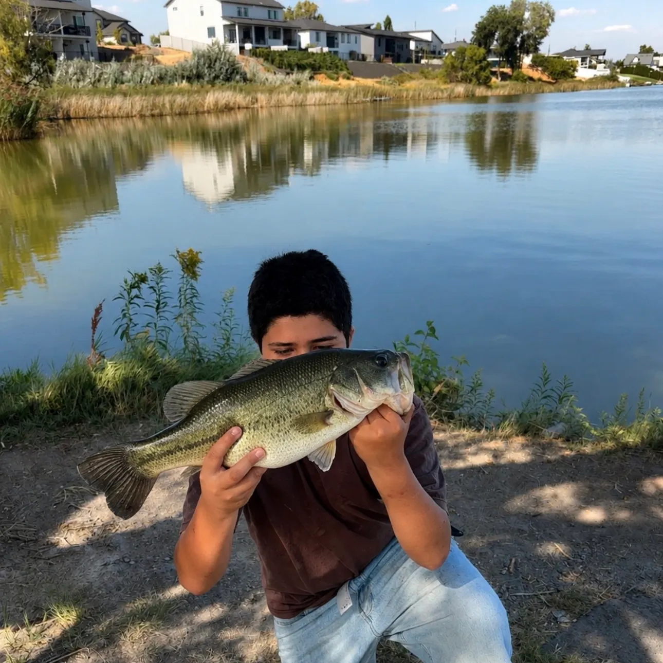 Largemouth bass caught on Fishbrain