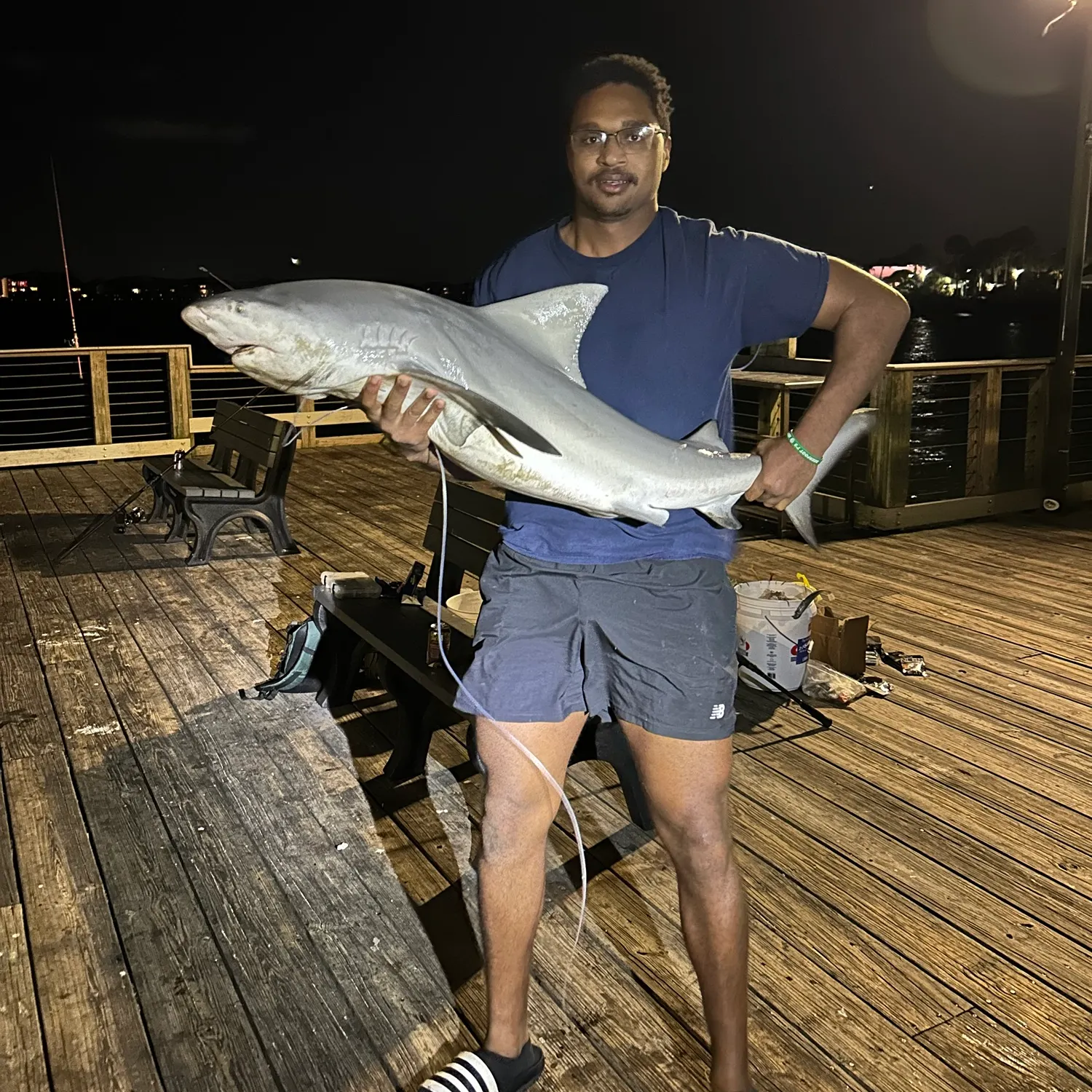 Bull shark caught on Fishbrain