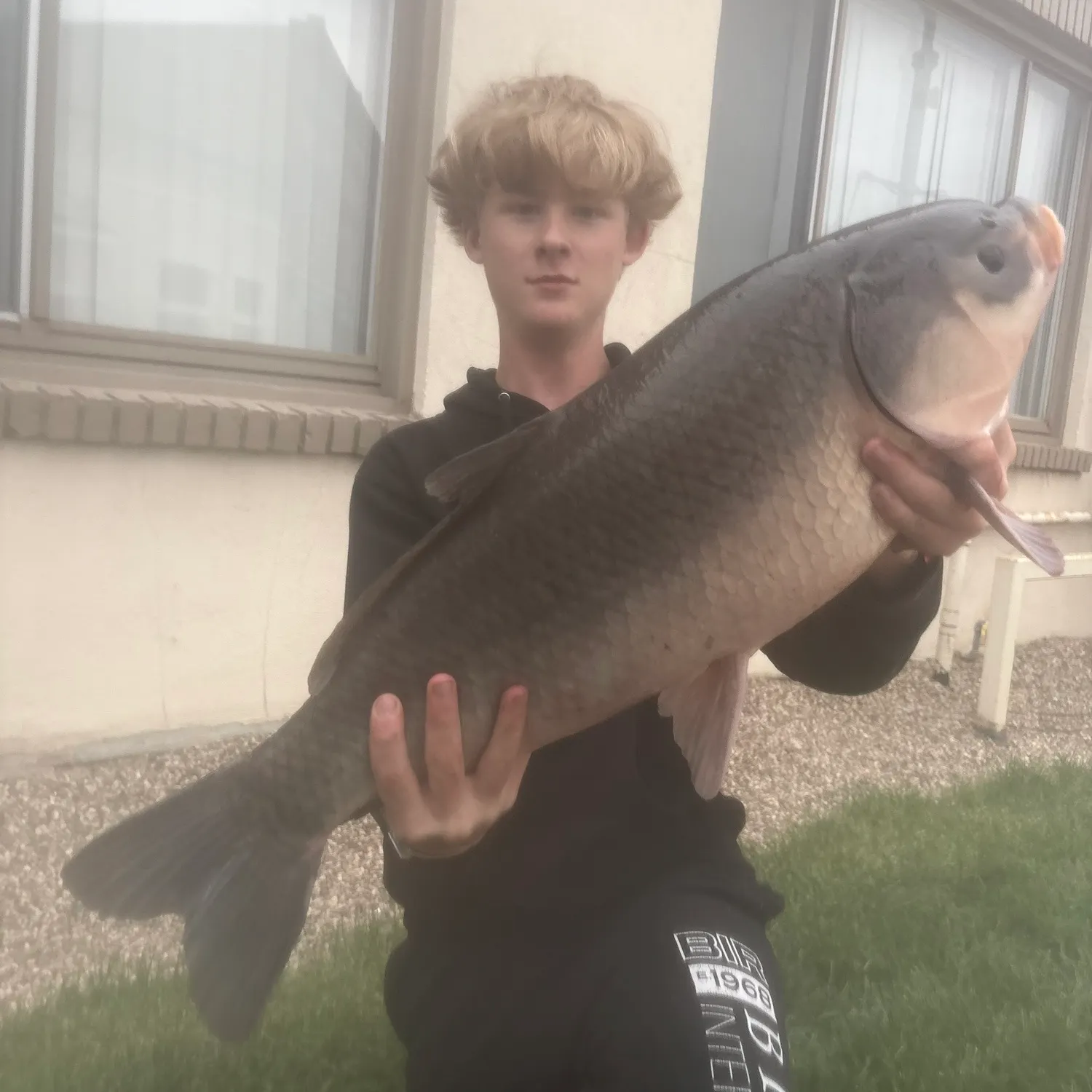 Bigmouth buffalo caught on Fishbrain