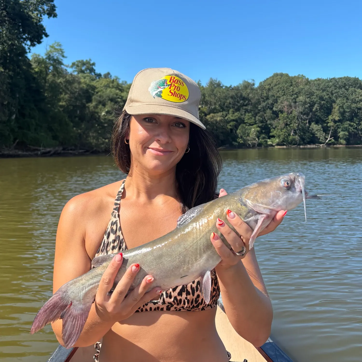Channel catfish caught on Fishbrain