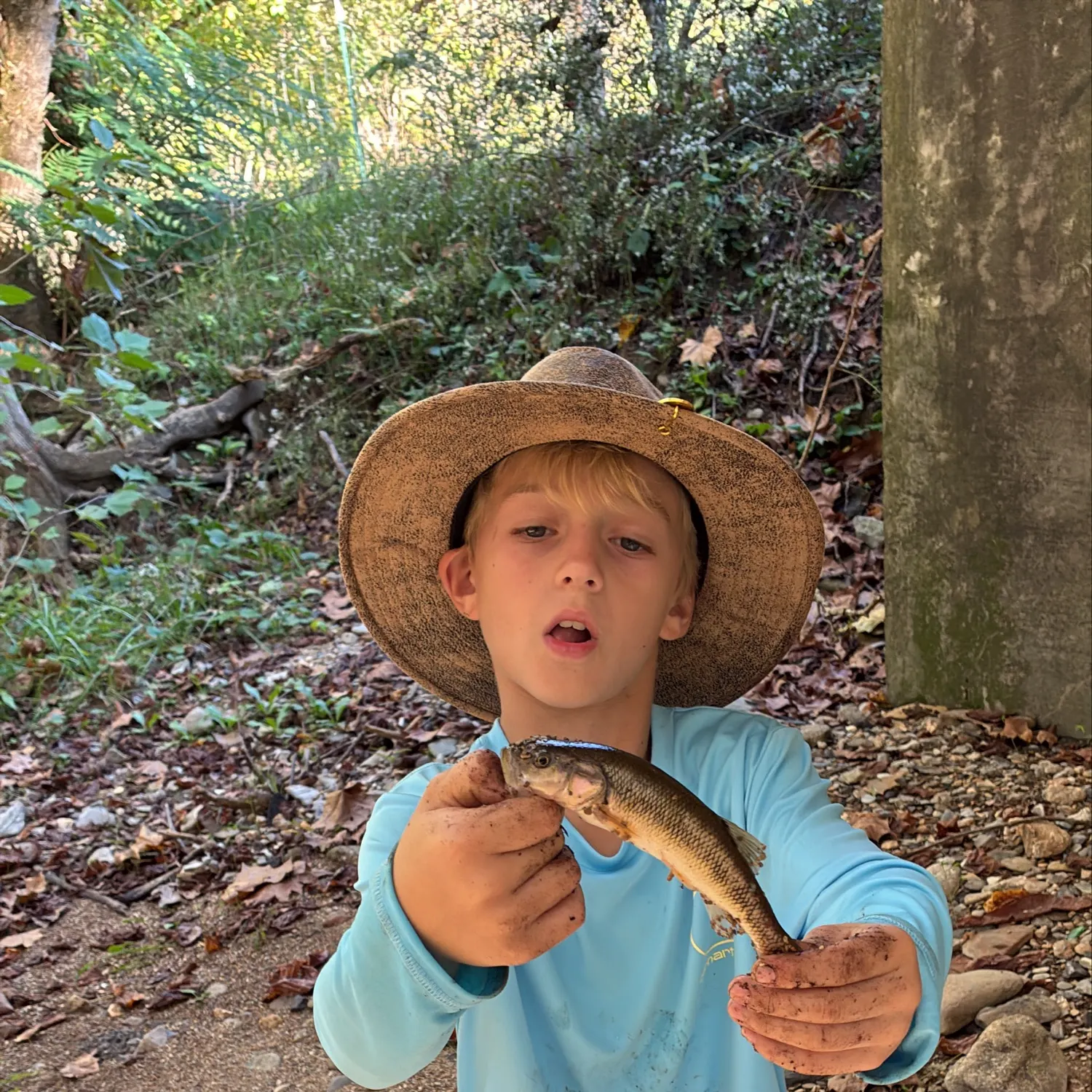 Creek chub caught on Fishbrain