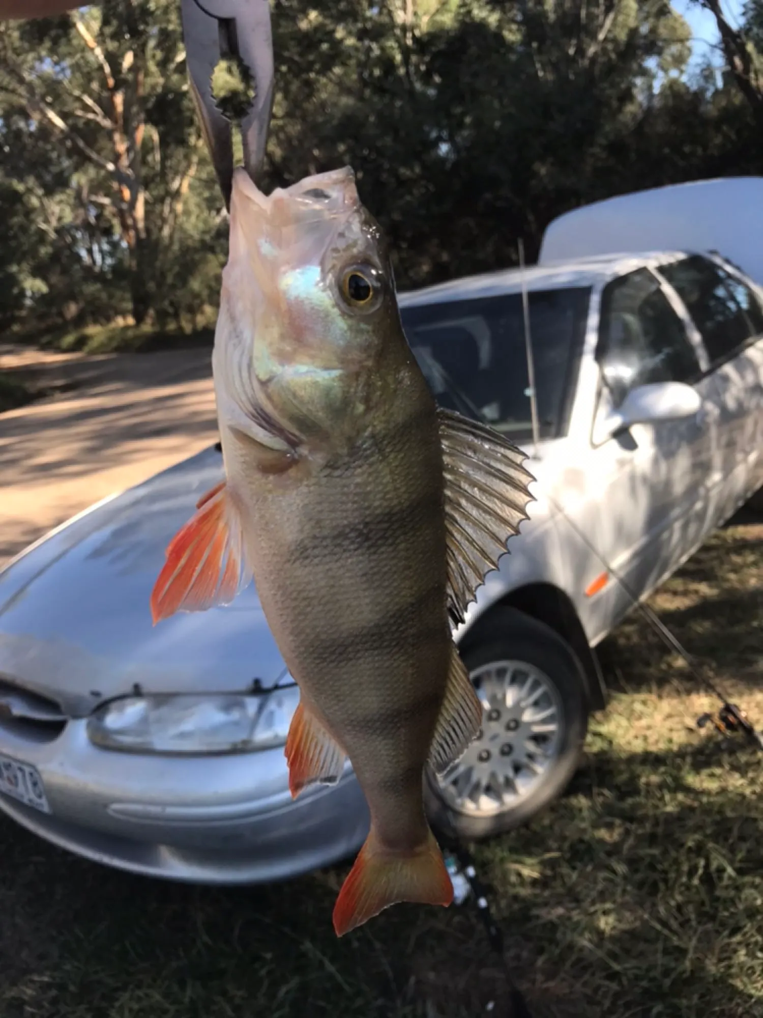 Post image from Doc-Yarrum