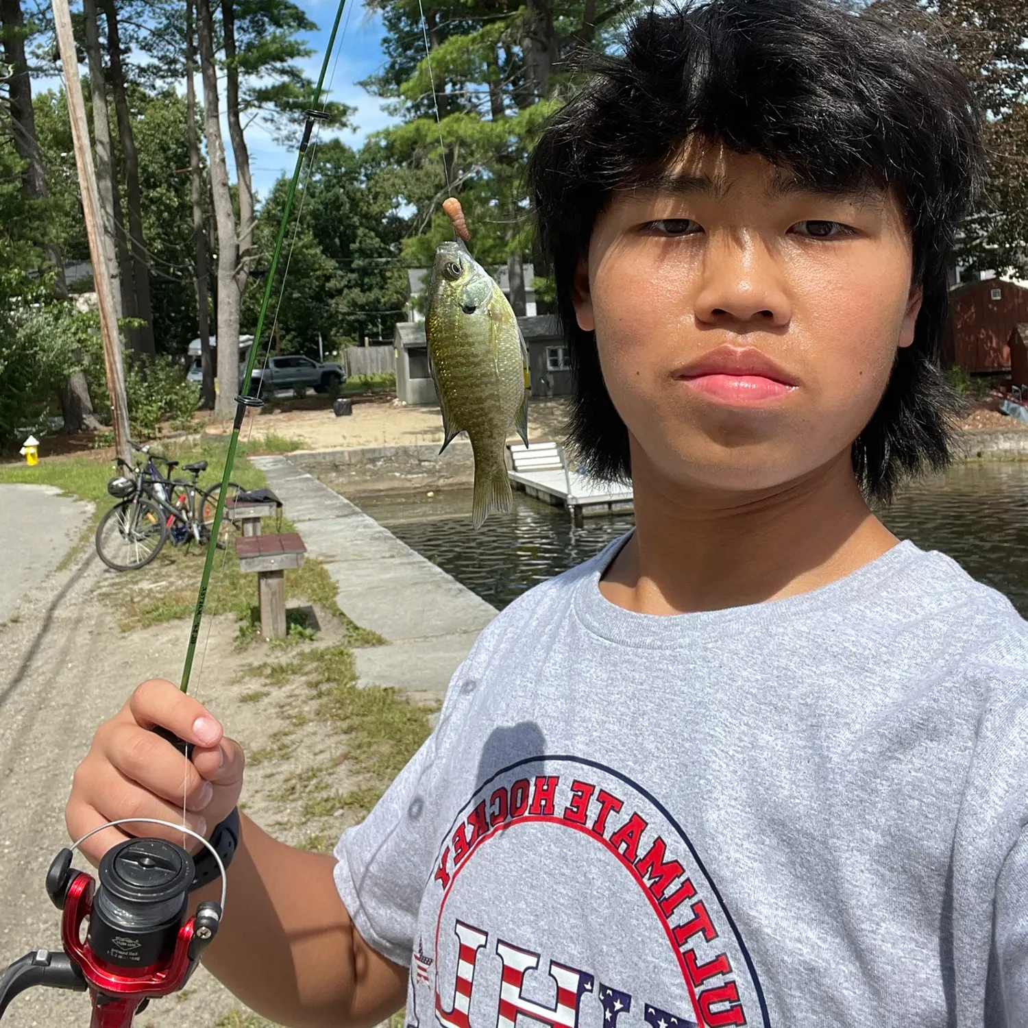 Bluegill caught on Fishbrain