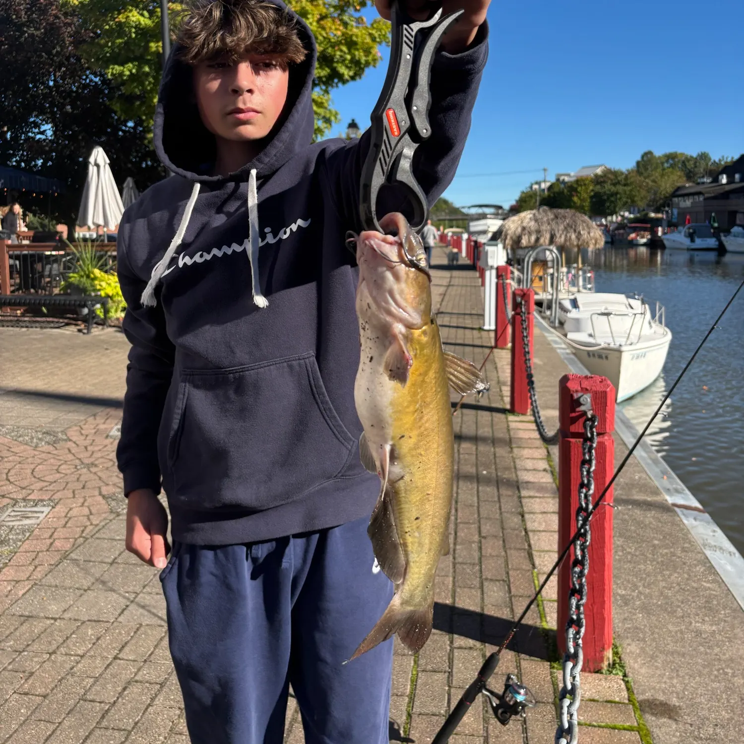Channel catfish caught on Fishbrain
