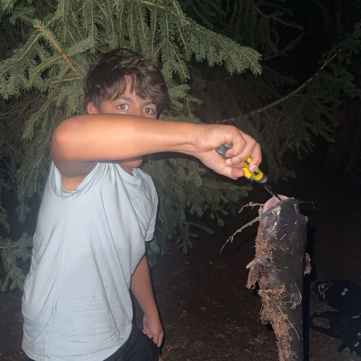 catch