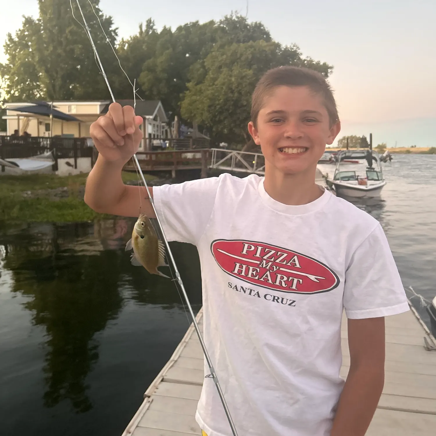 Bluegill caught on Fishbrain