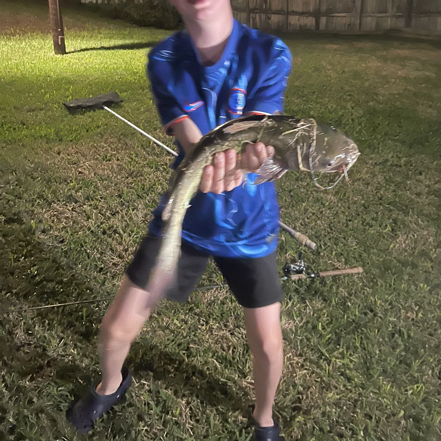 The most recent Channel catfish catches on Fishbrain