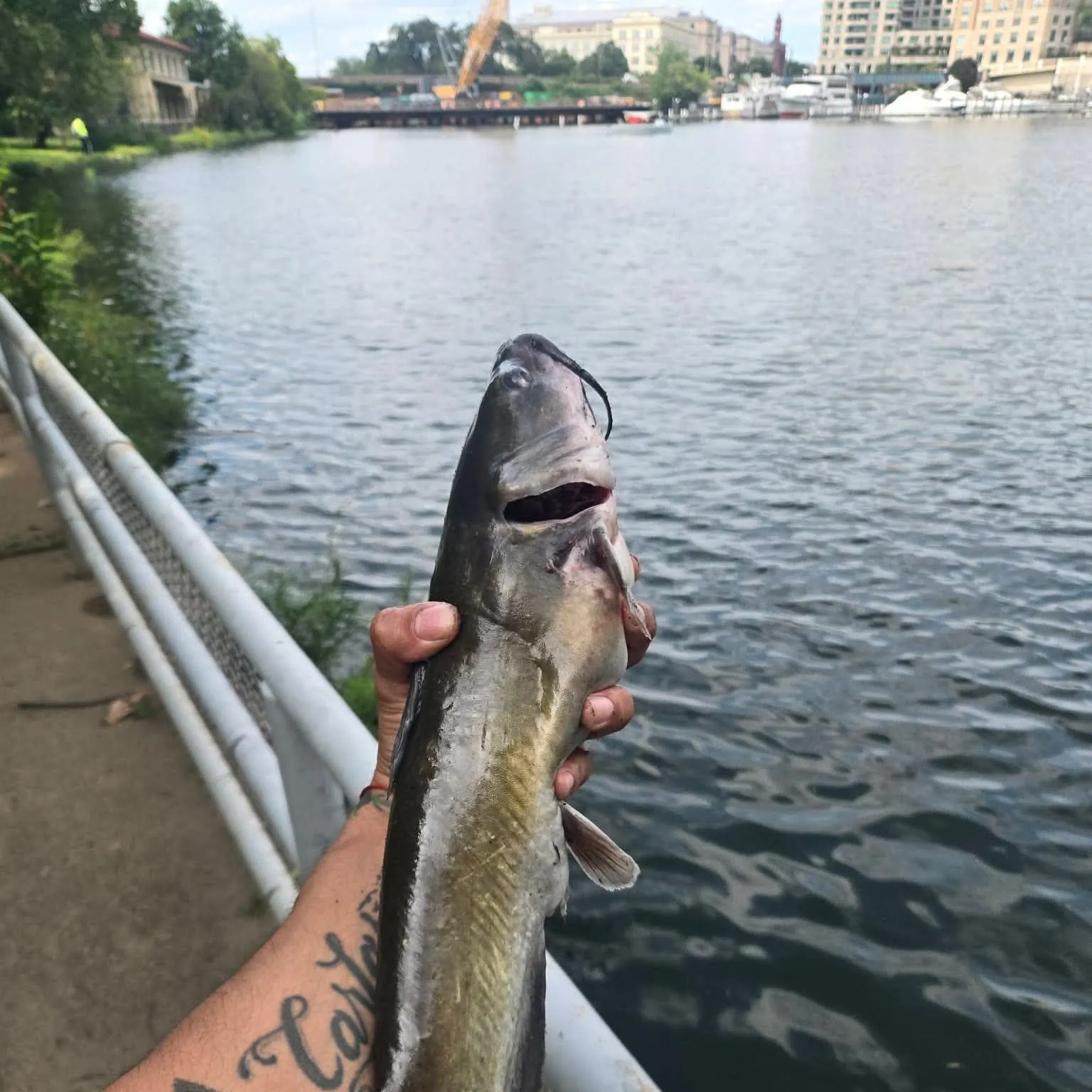 catch