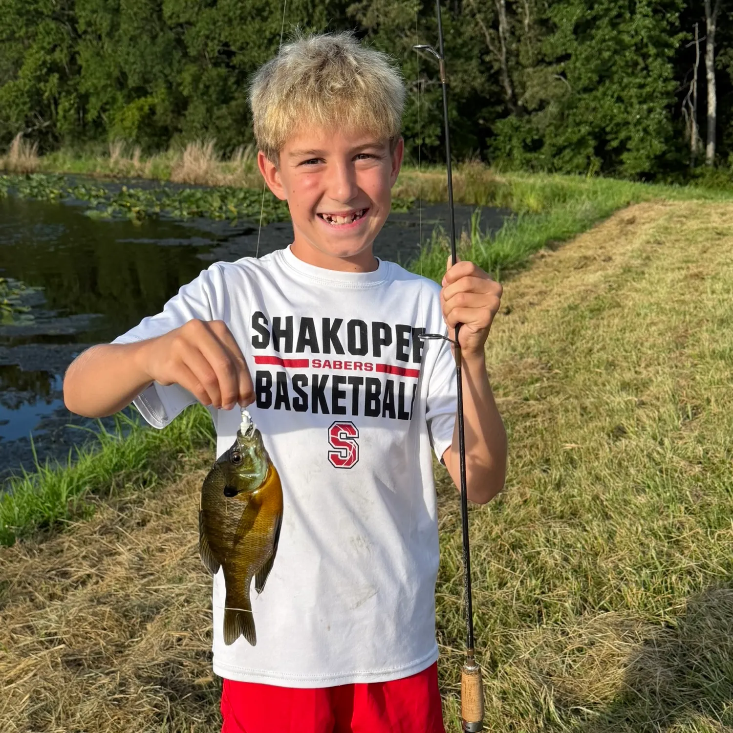 Bluegill caught on Fishbrain