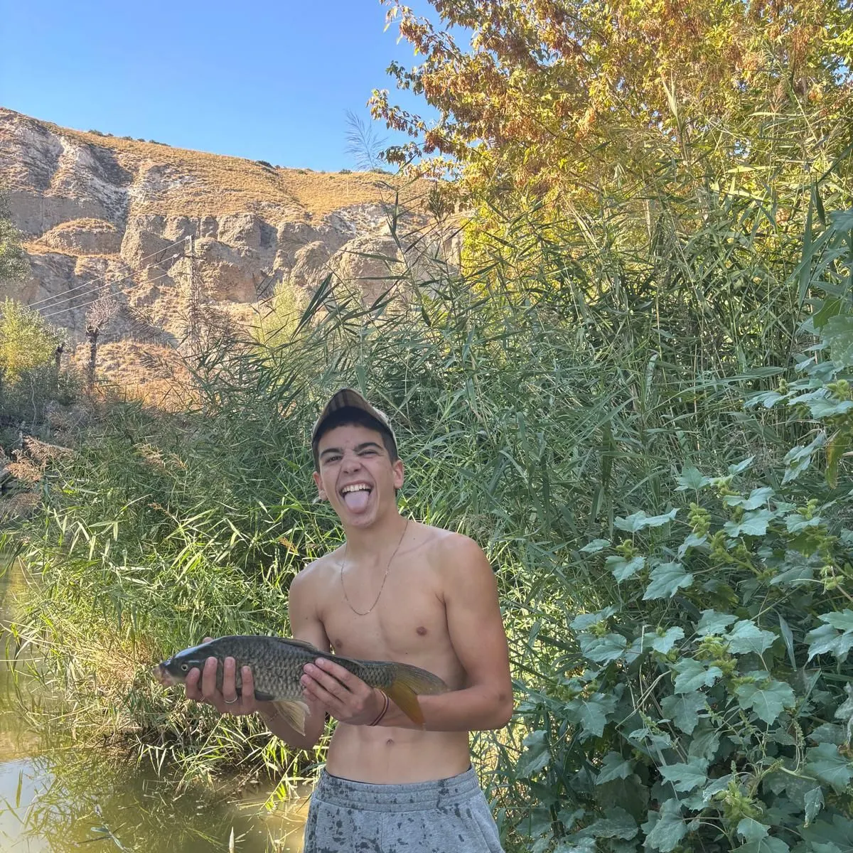 Common carp caught on Fishbrain