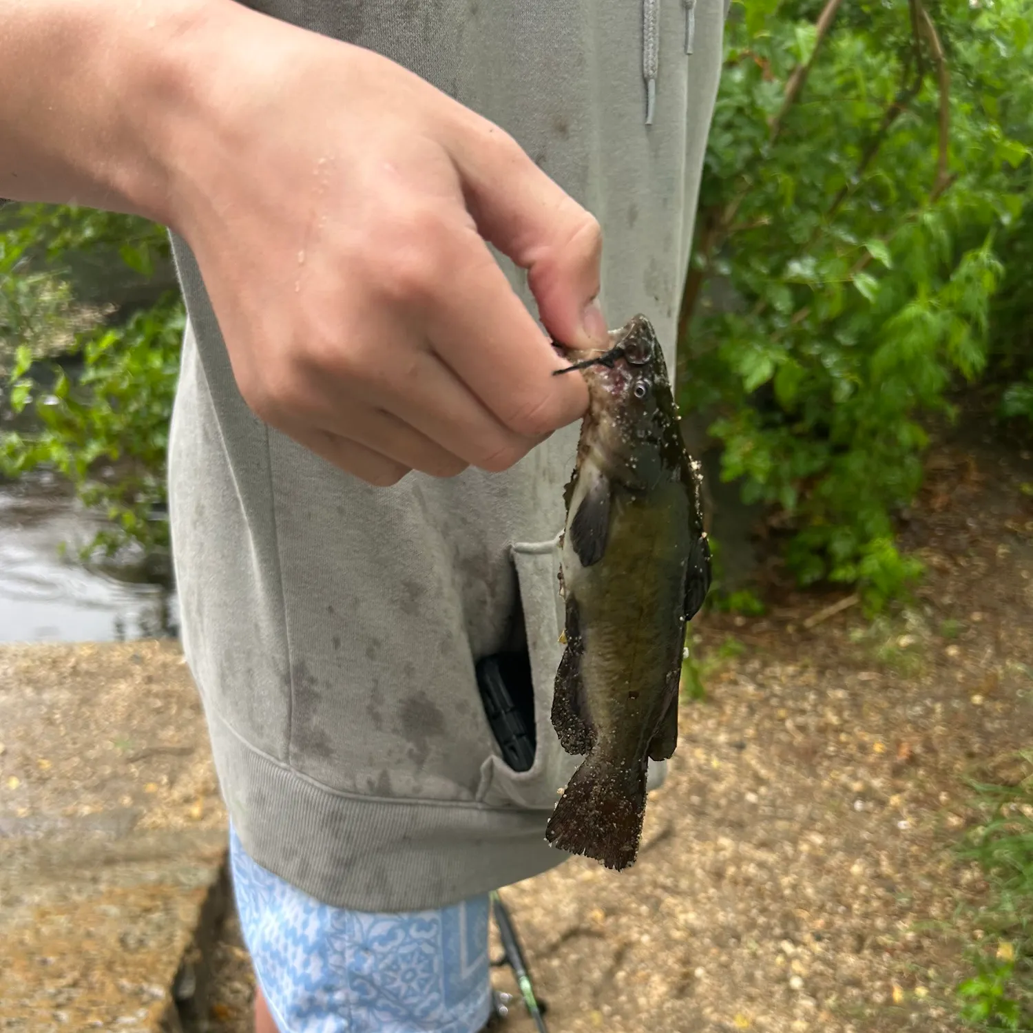 catch