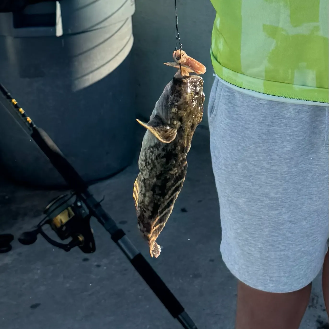 The most recent Gulf toadfish catches on Fishbrain