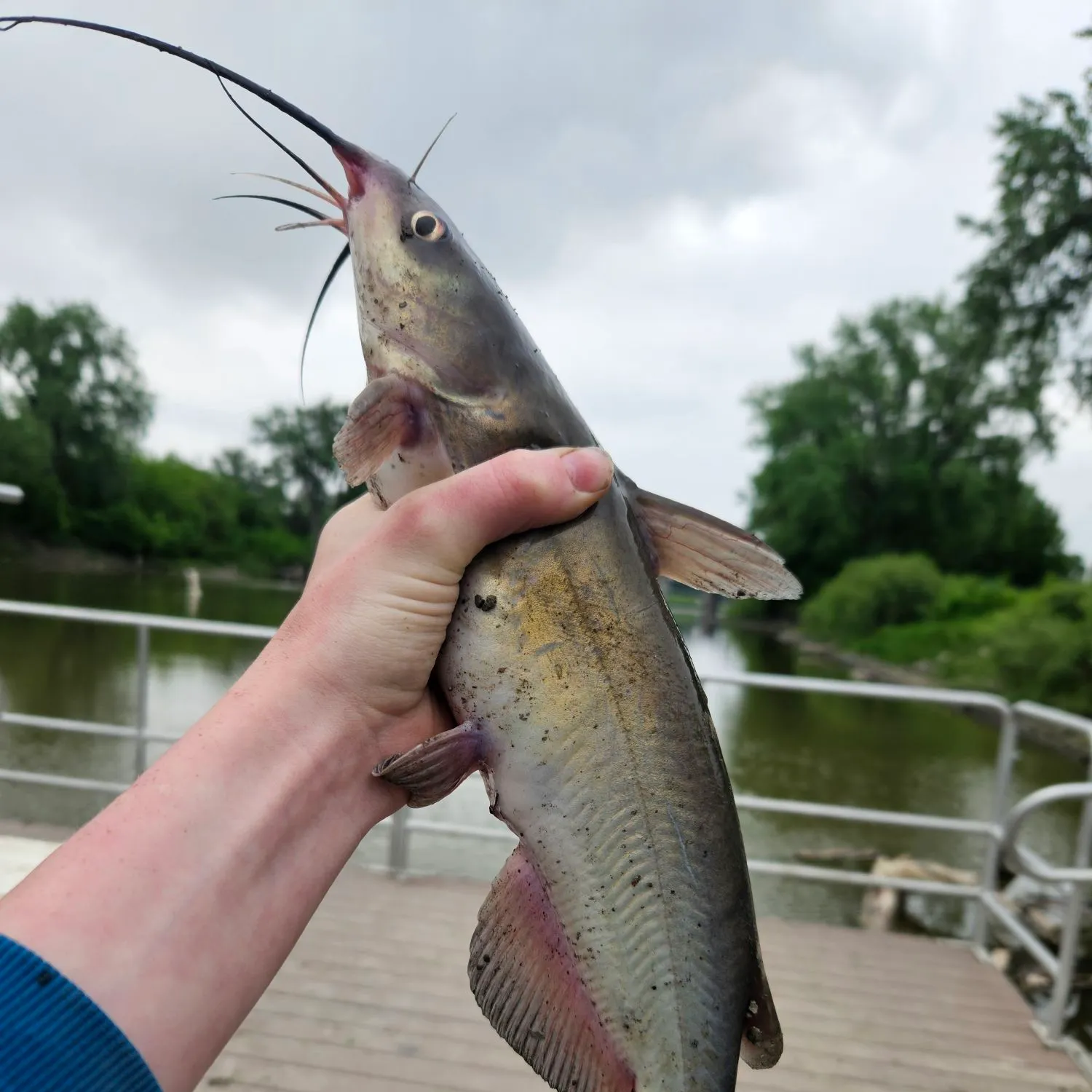 catch