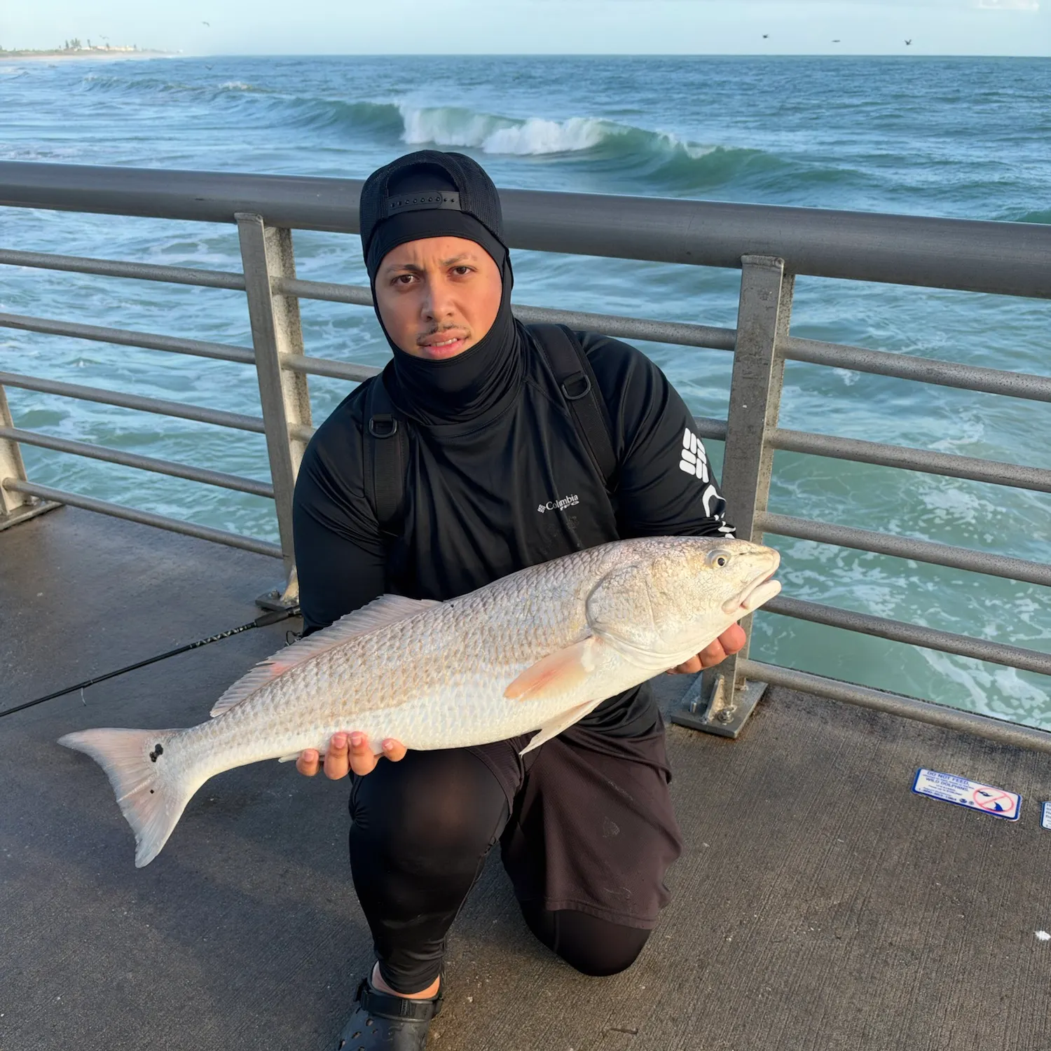 Red drum caught on Fishbrain