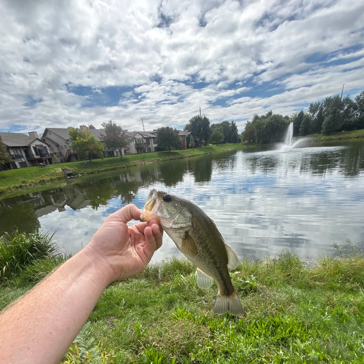 Fish caught on Fishbrain