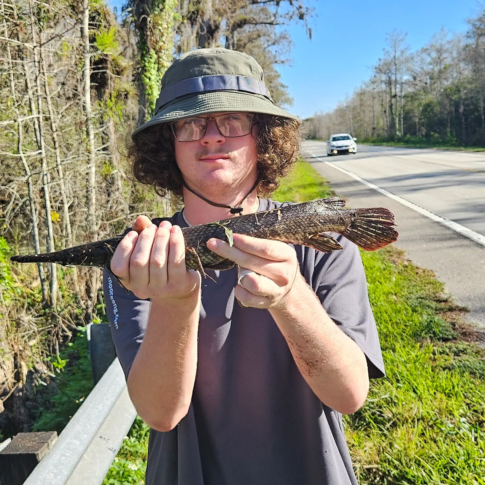 The most recent Spotted gar catches on Fishbrain