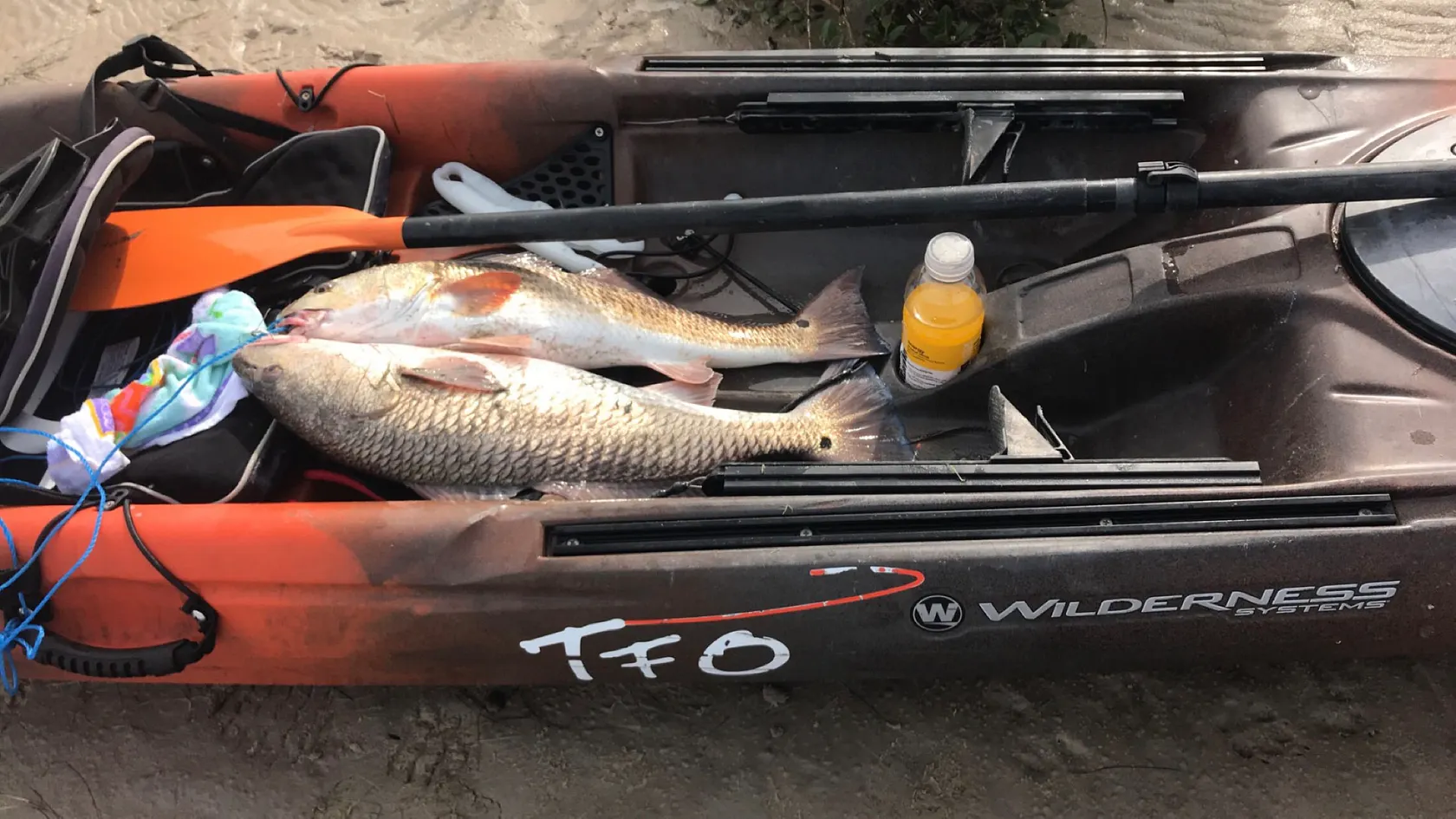 Post image from obetancourt6709