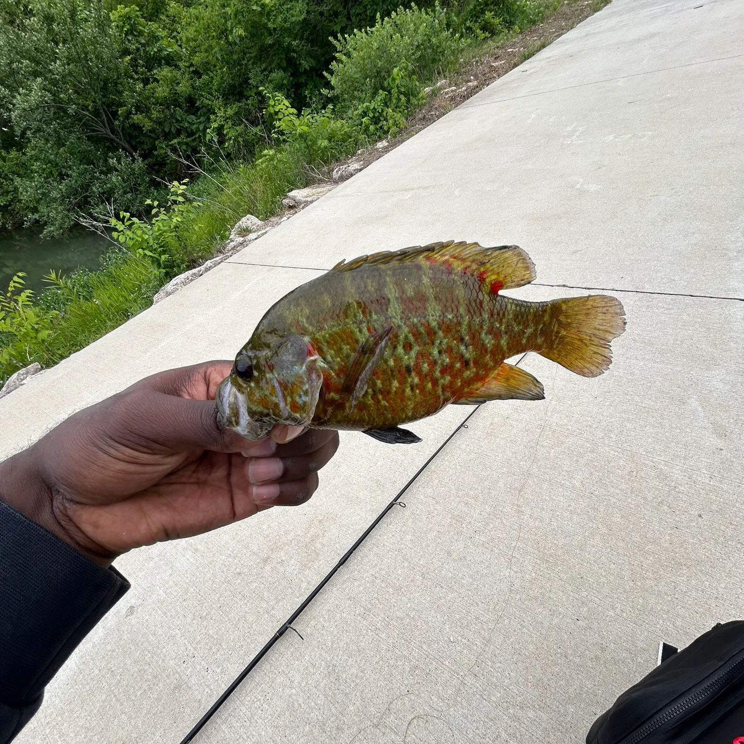 catch