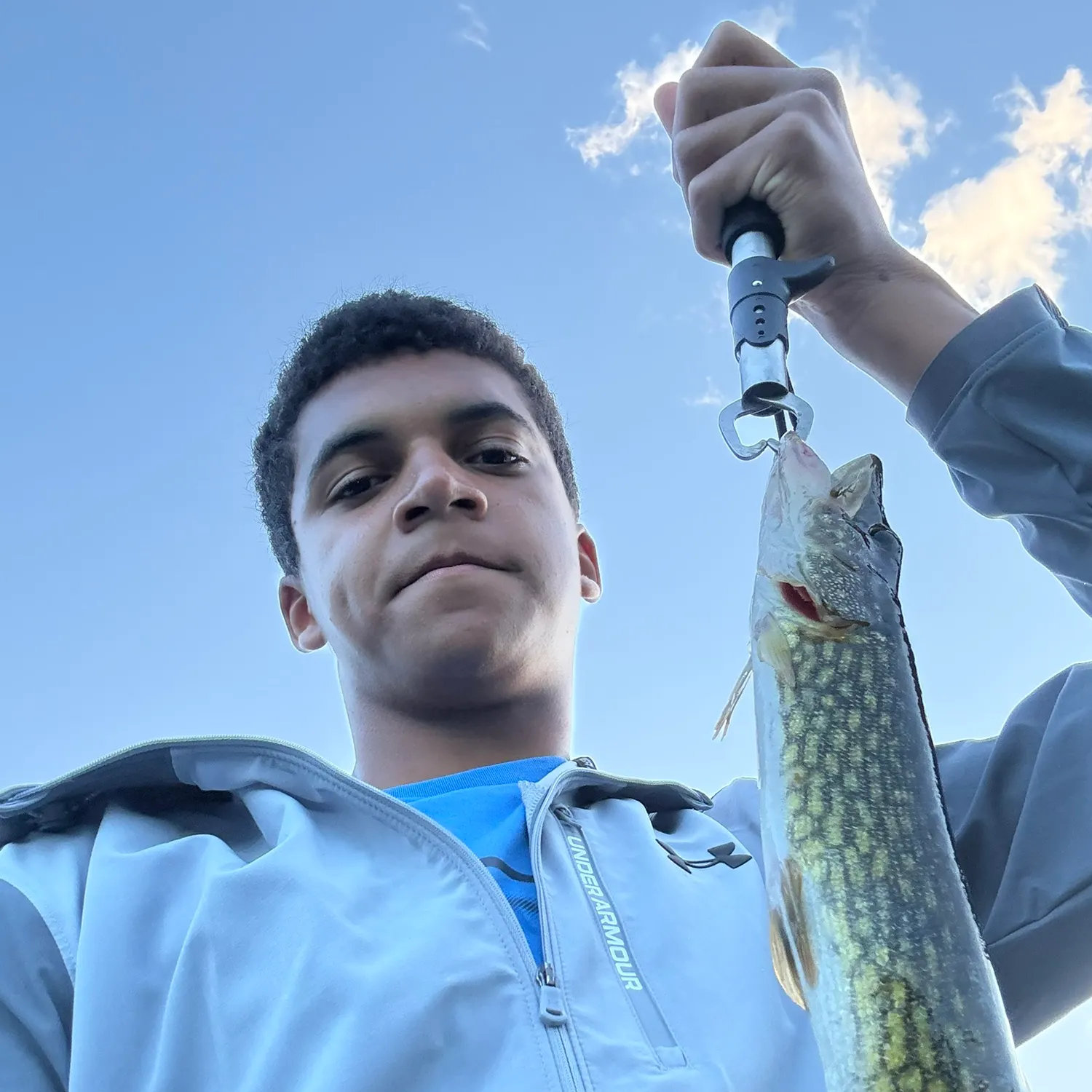 Chain pickerel caught on Fishbrain