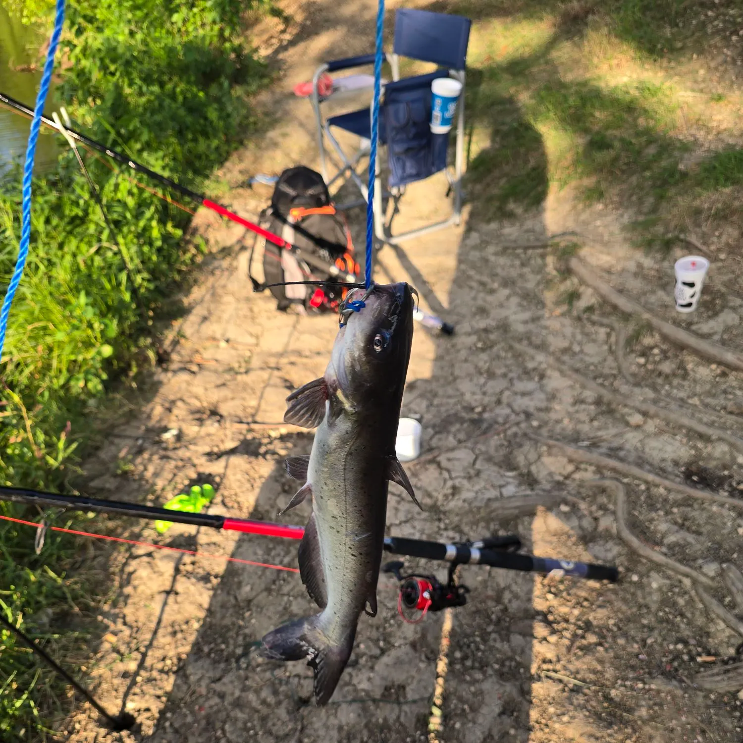 catch