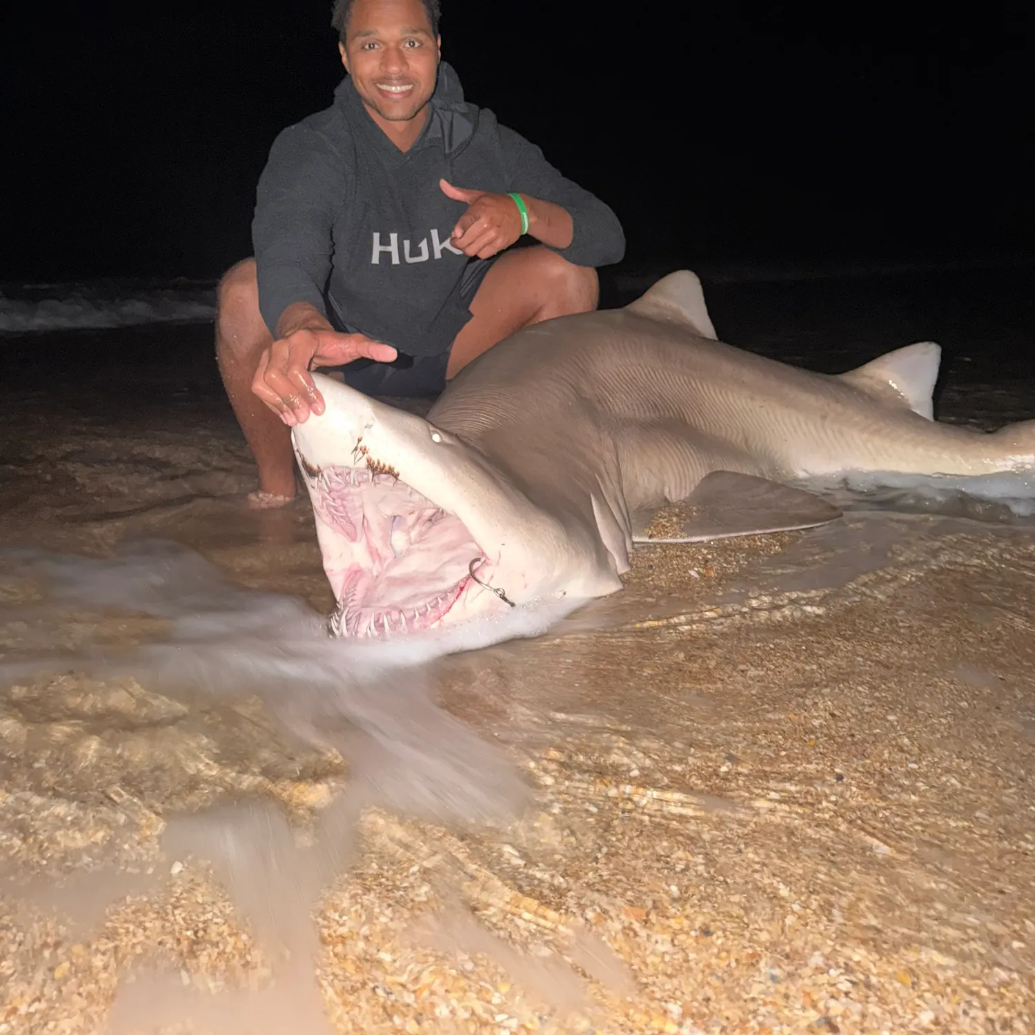 The most recent Sand tiger shark catches on Fishbrain