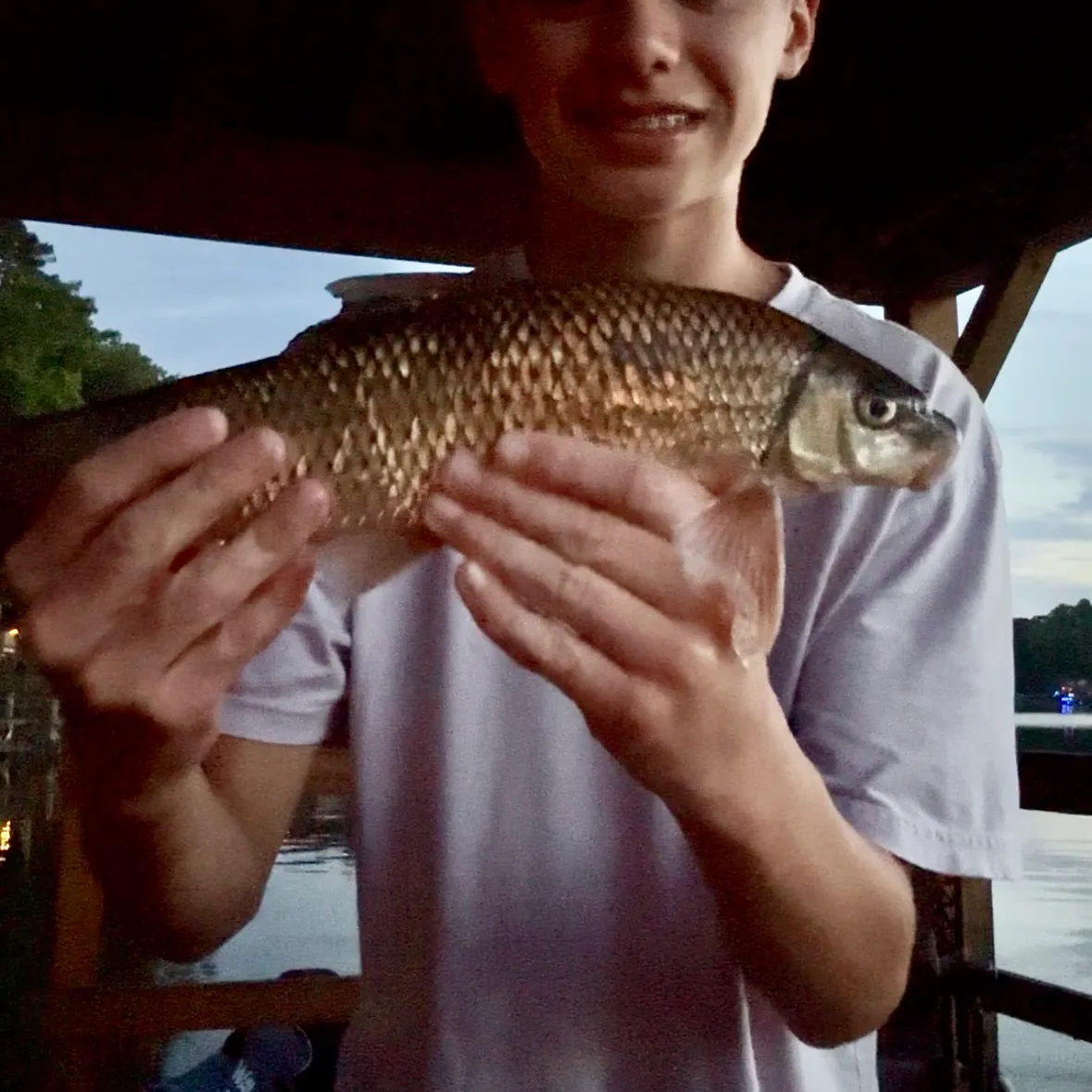 The most recent Spotted sucker catches on Fishbrain