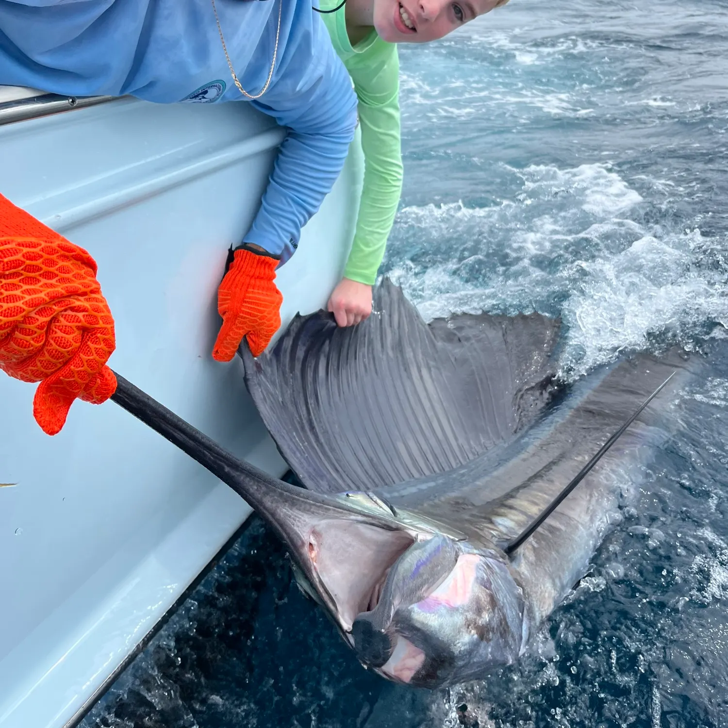 The most recent Atlantic sailfish catches on Fishbrain