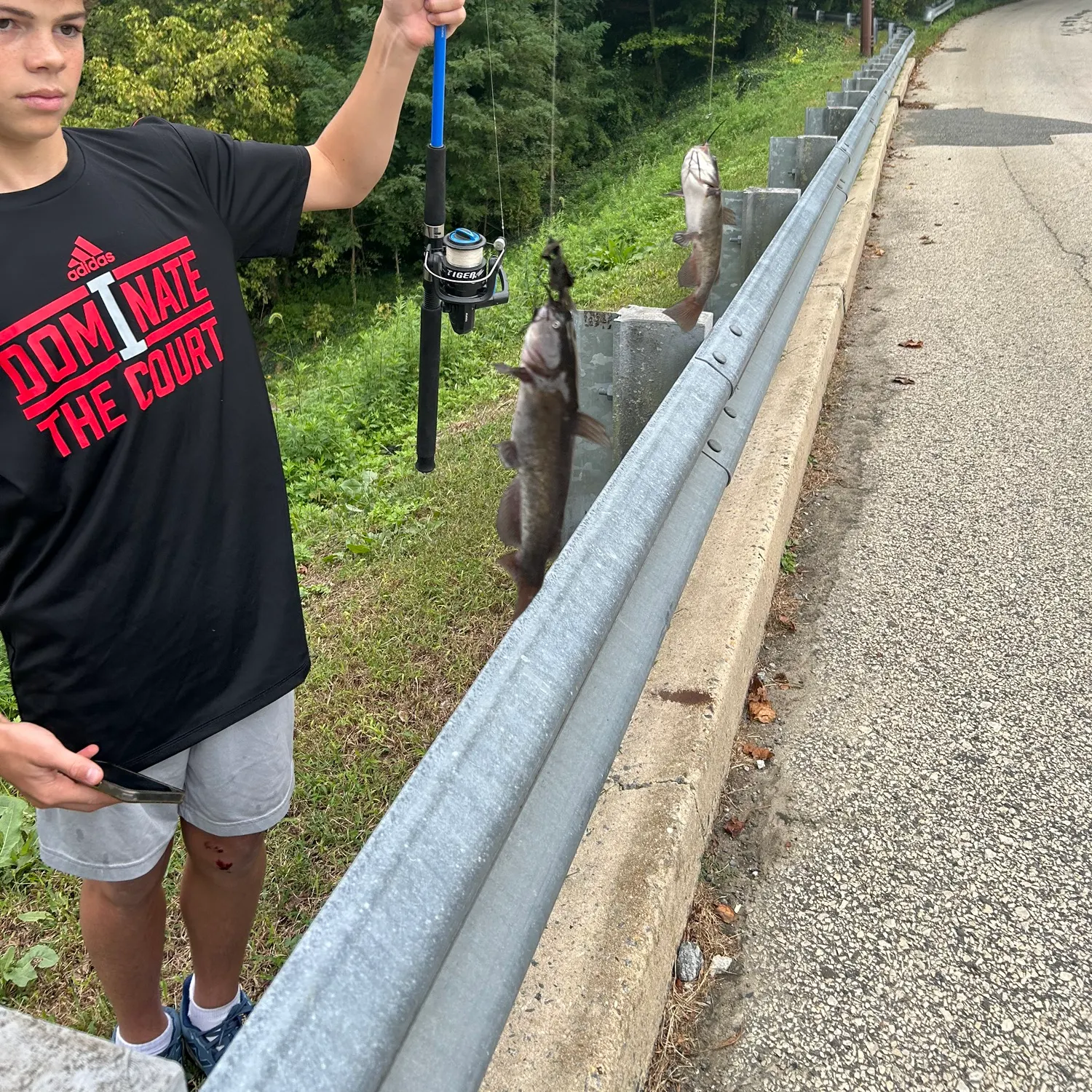 Channel catfish caught on Fishbrain