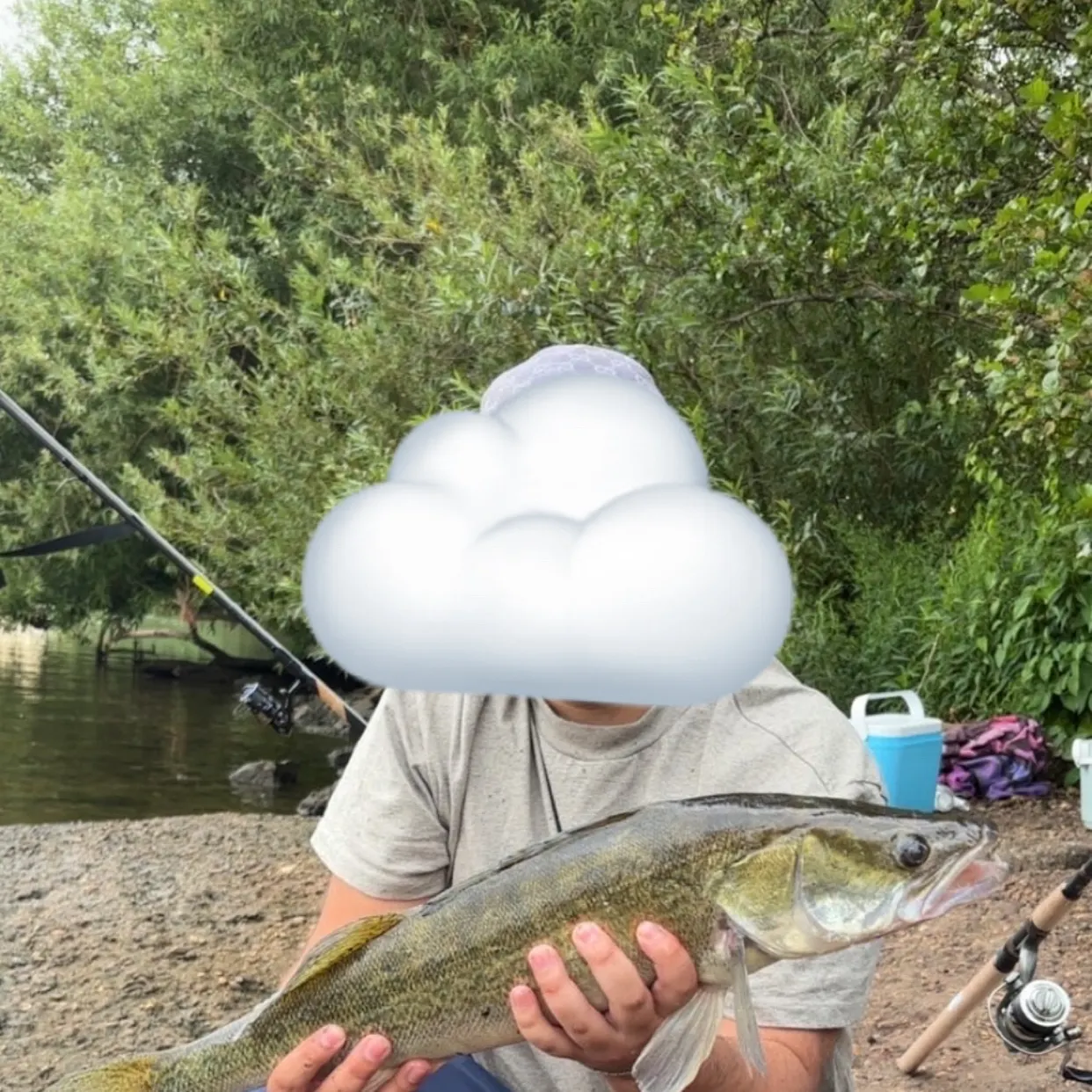Zander caught on Fishbrain