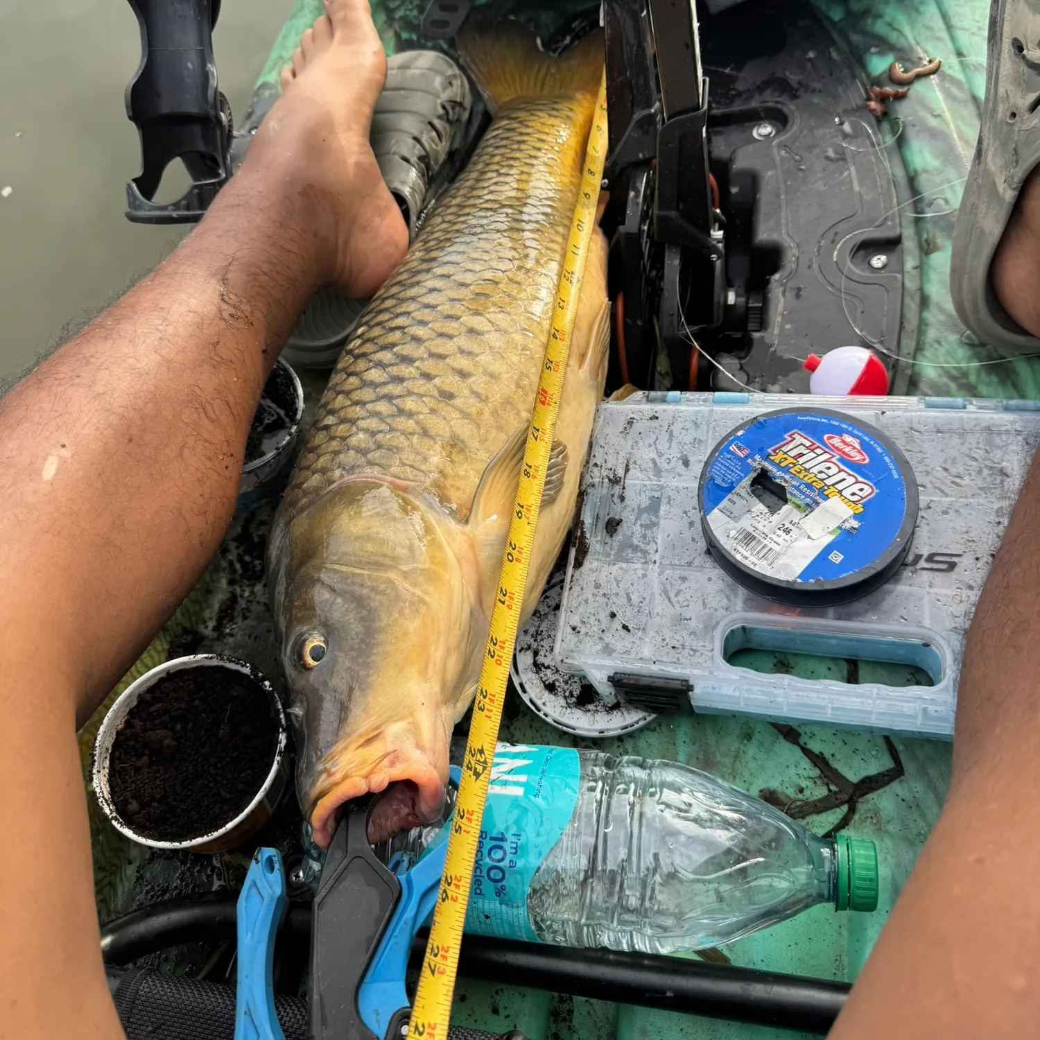 The most recent Common carp catches on Fishbrain