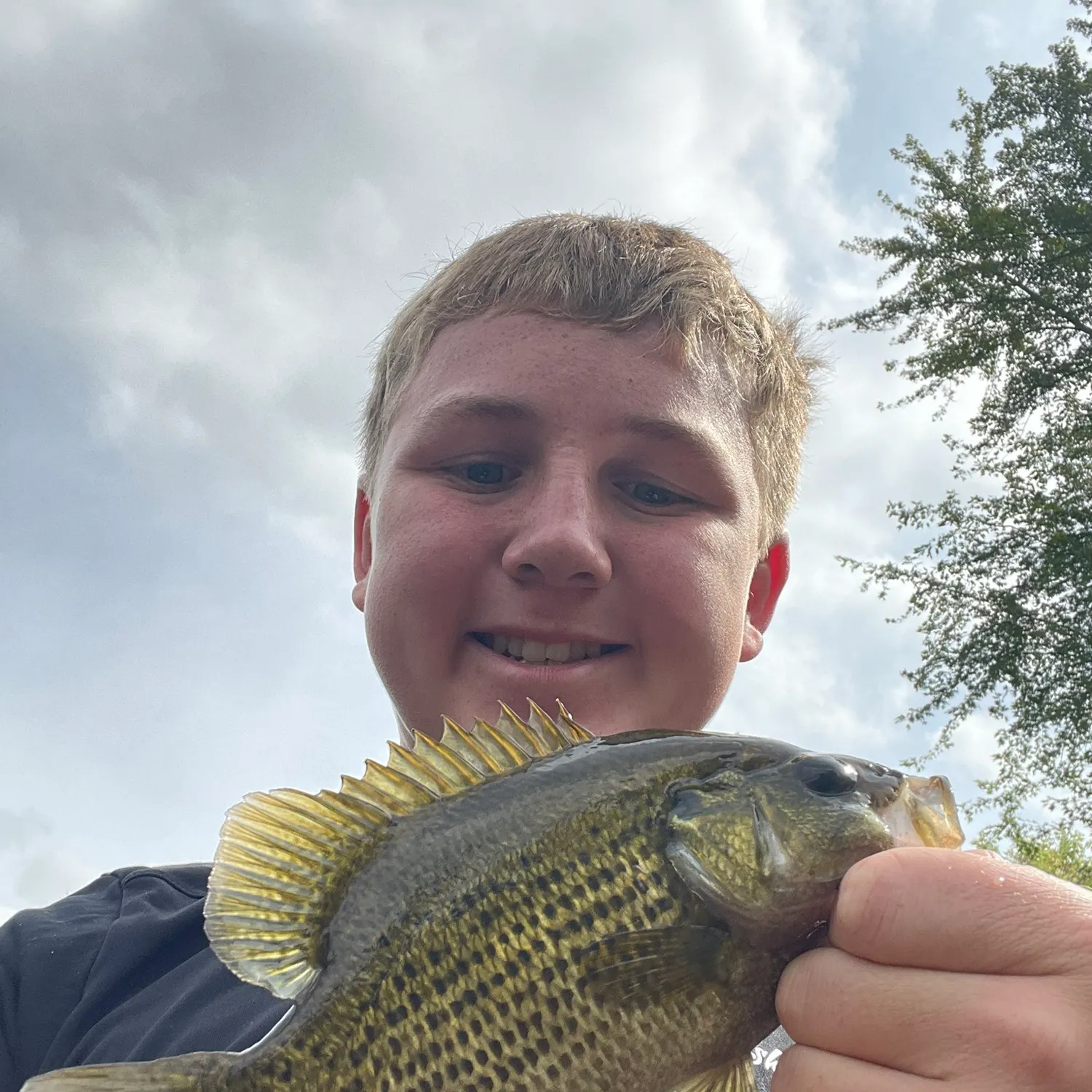 Rock bass caught on Fishbrain