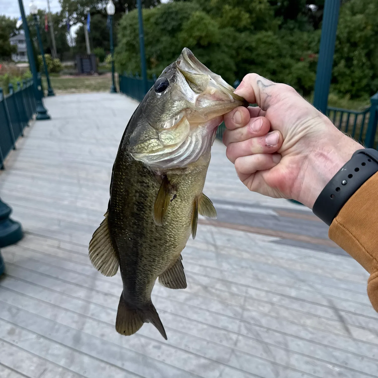 catch