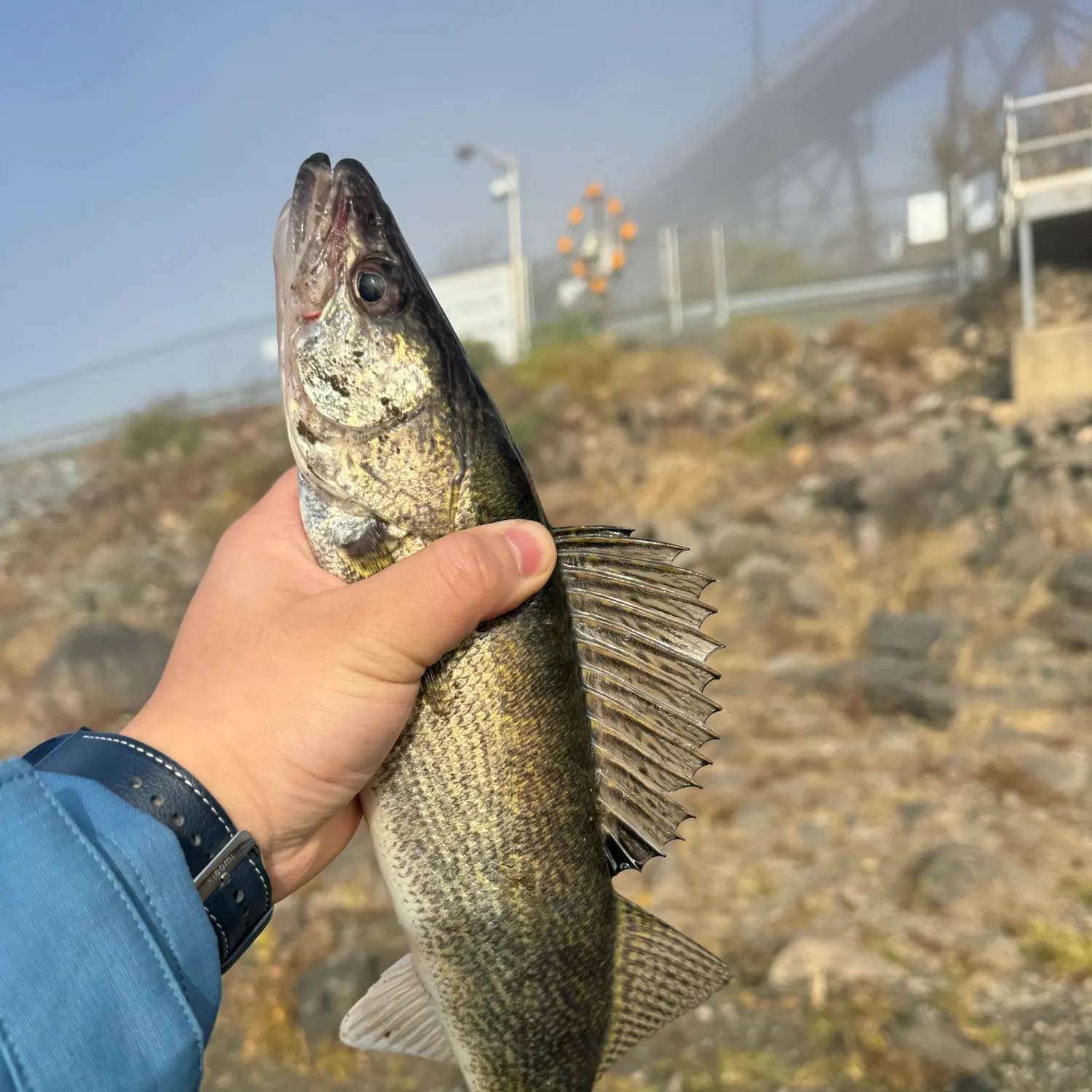 catch