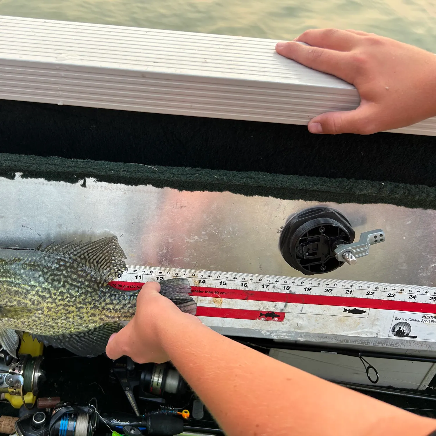 Black crappie caught on Fishbrain