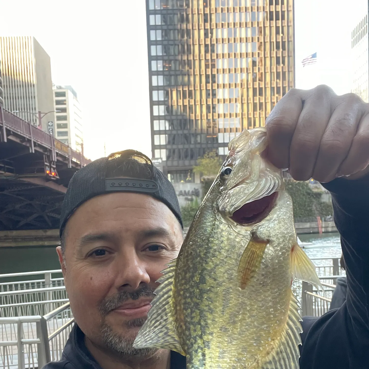 Black crappie caught on Fishbrain