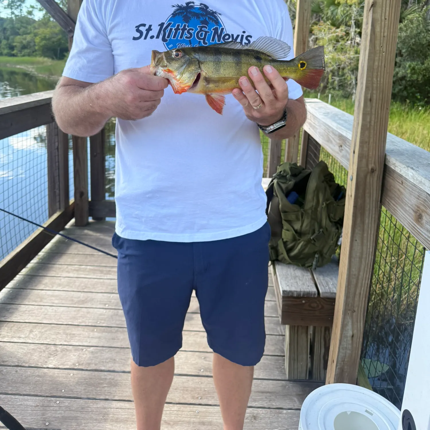 Butterfly peacock bass caught on Fishbrain