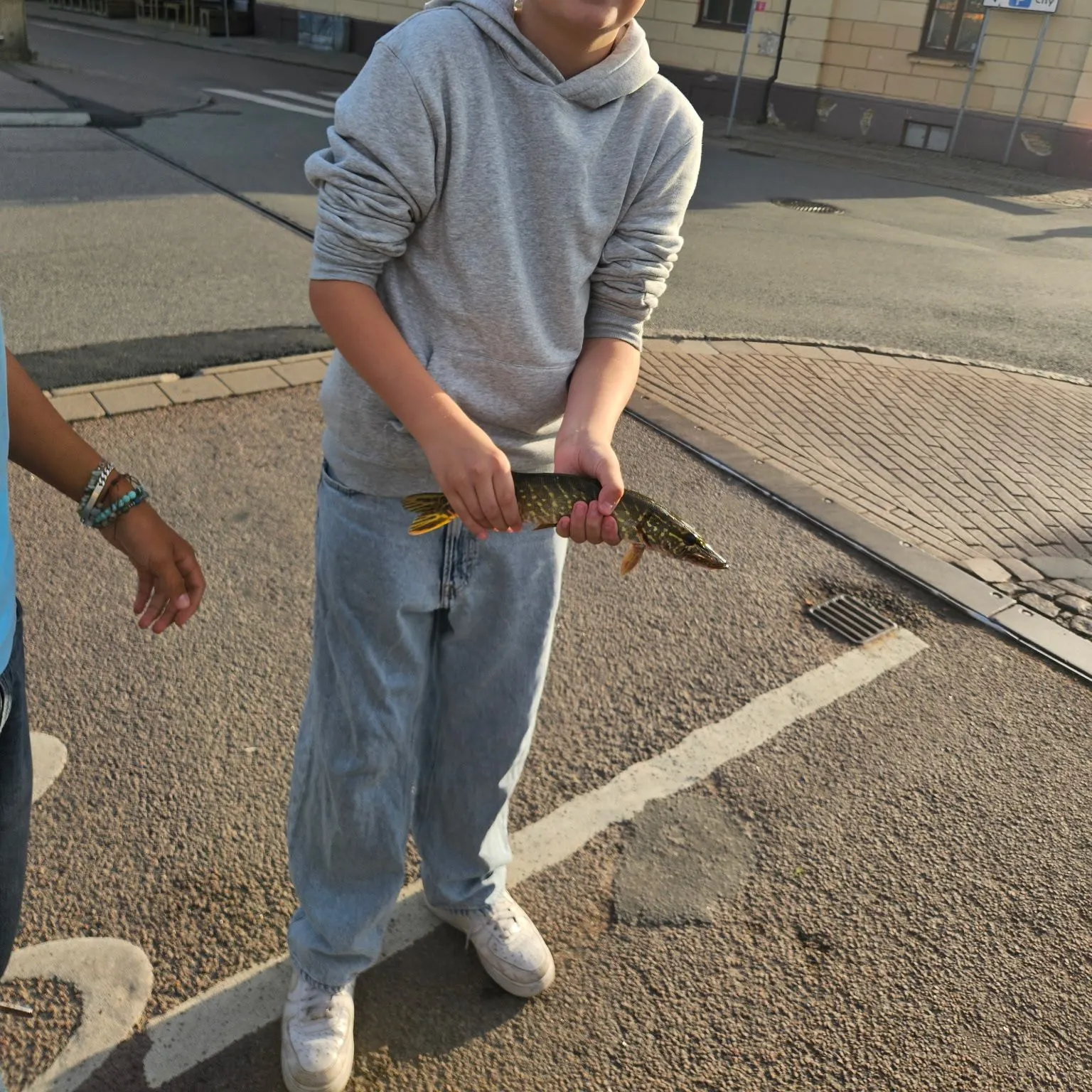 Northern pike caught on Fishbrain