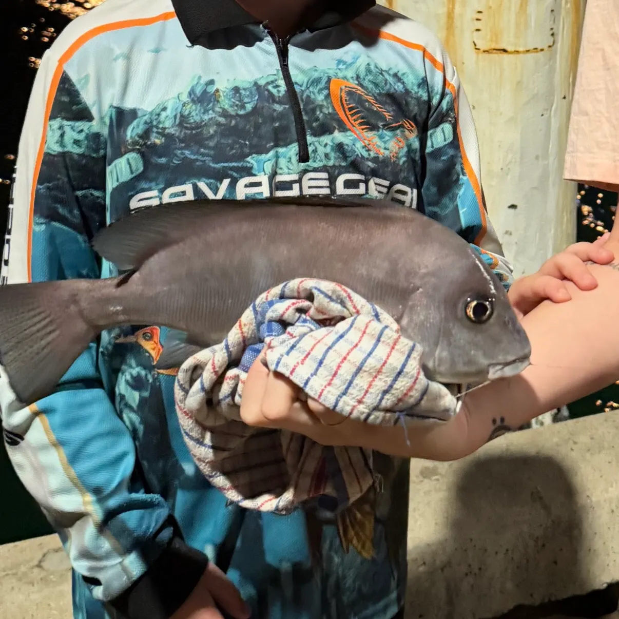 The most recent Painted sweetlips catches on Fishbrain