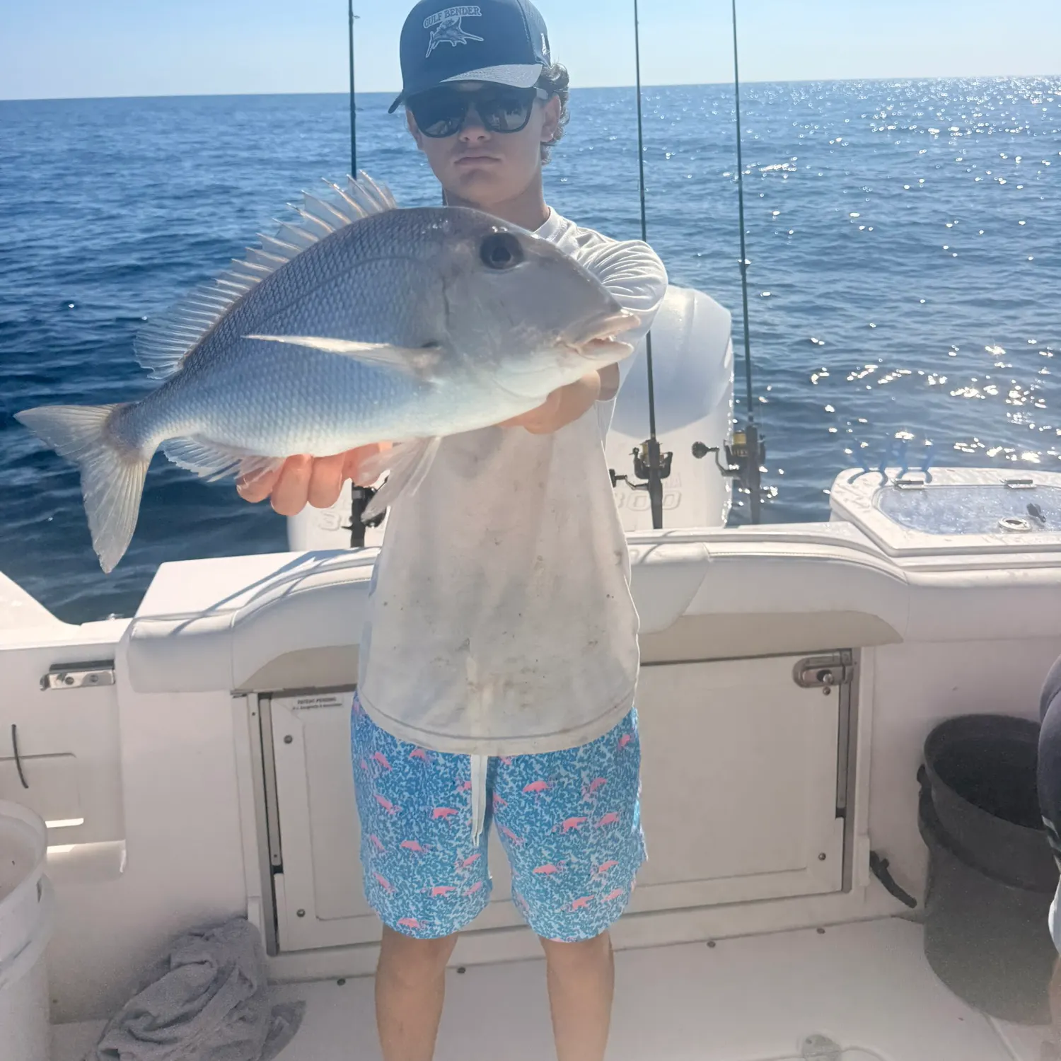 The most recent Jolthead porgy catches on Fishbrain