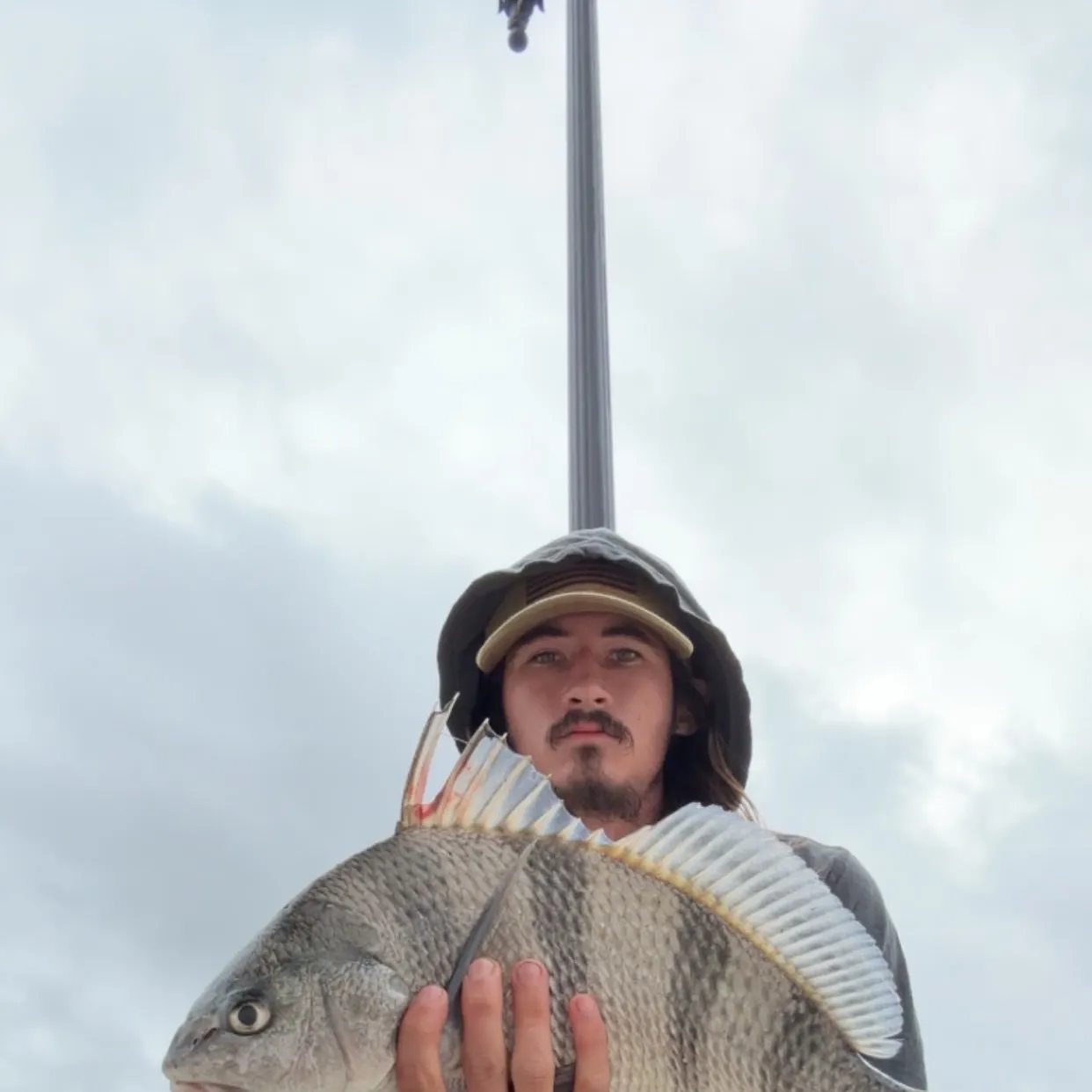 Black drum caught on Fishbrain