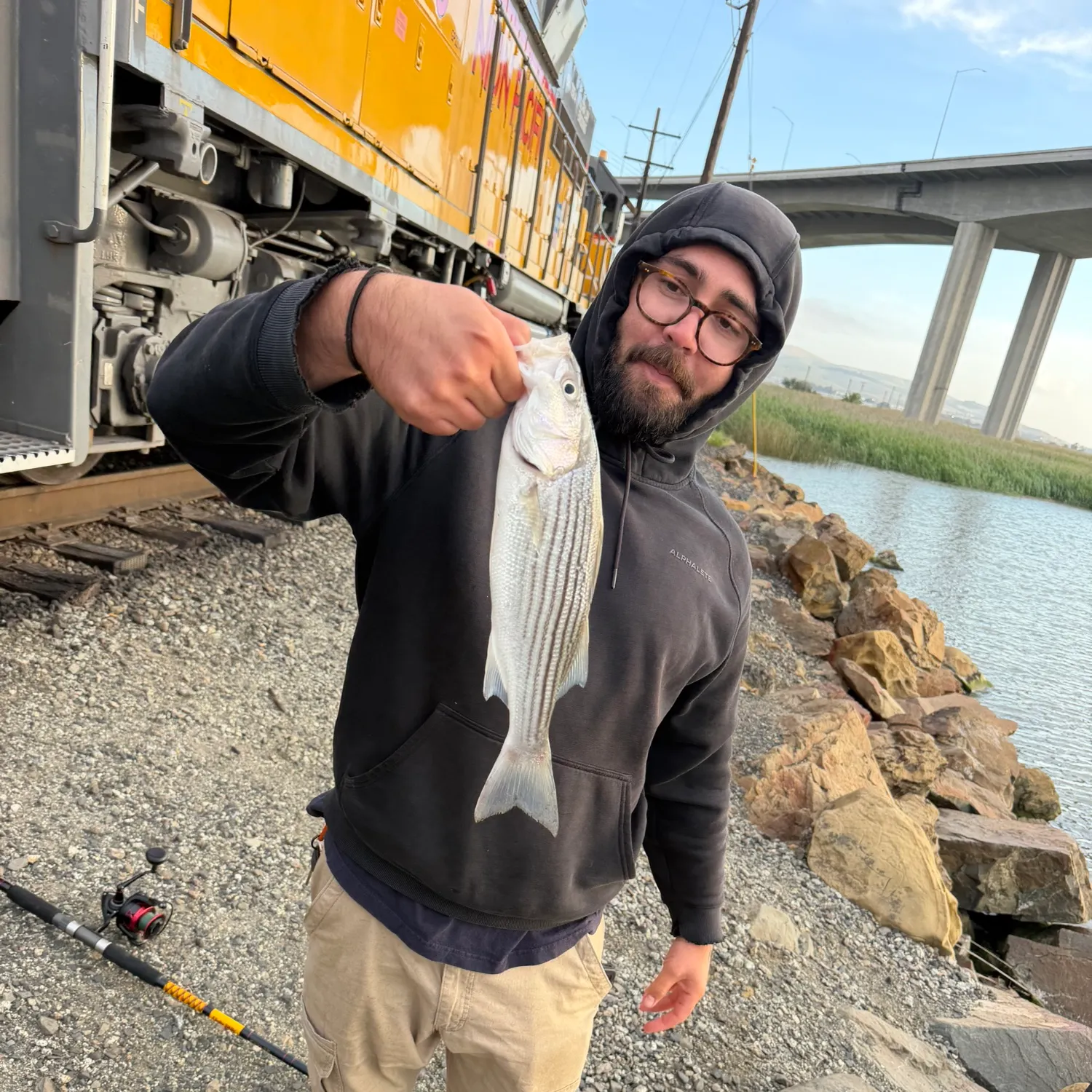 The most recent Striped bass catches on Fishbrain