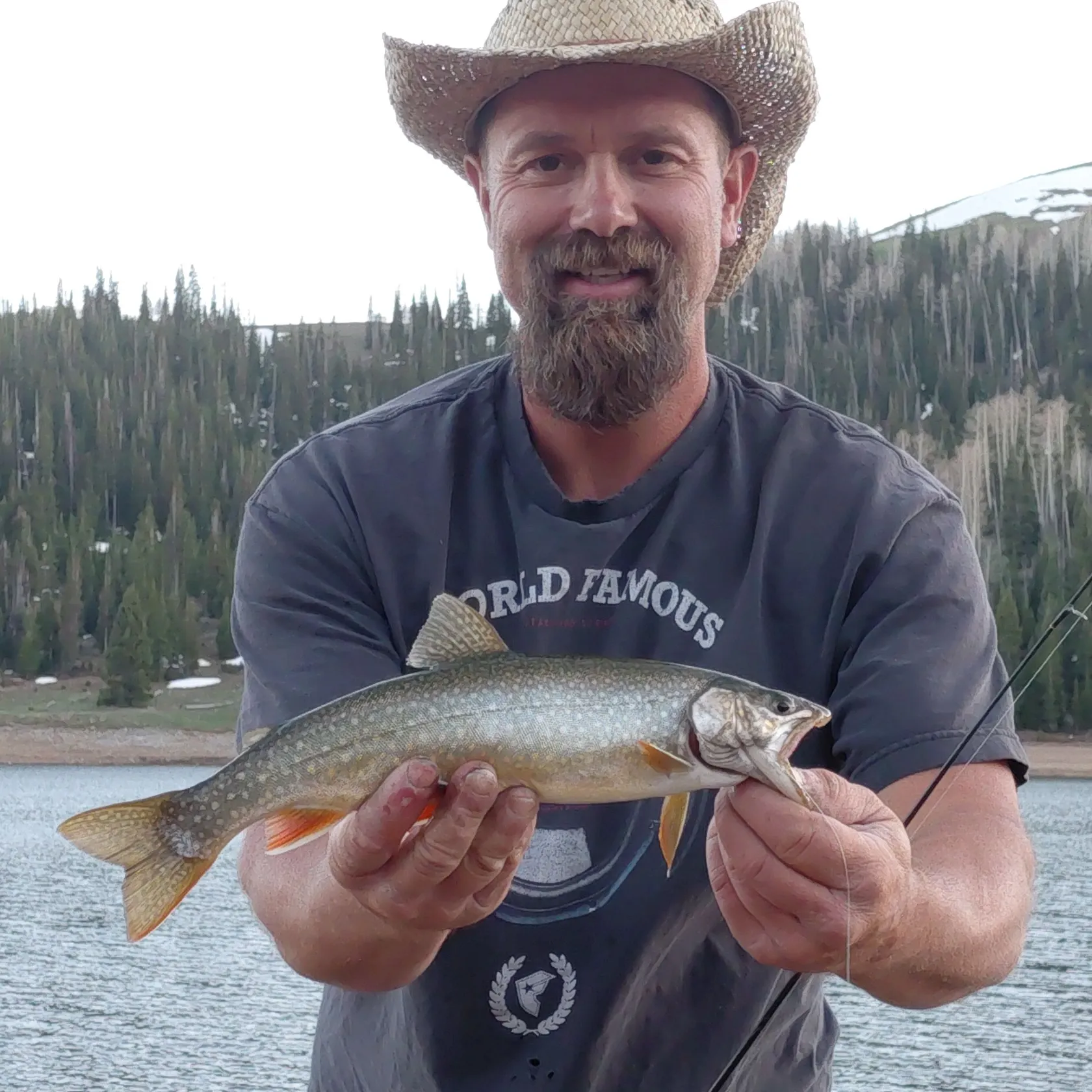 The most recent Splake catches on Fishbrain