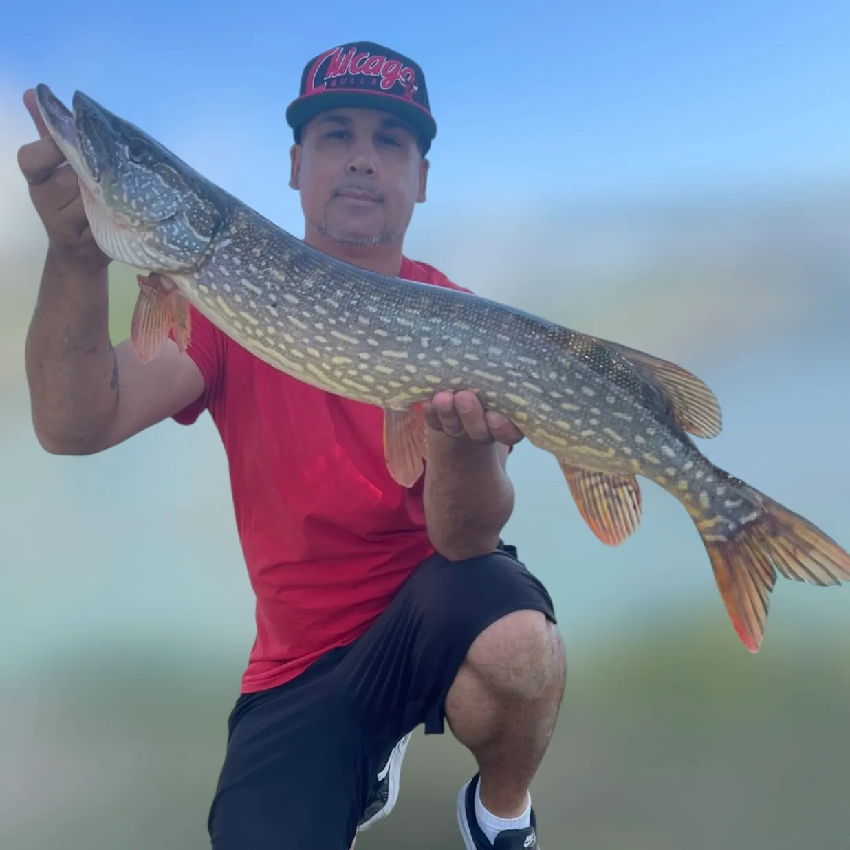 Northern pike caught on Fishbrain