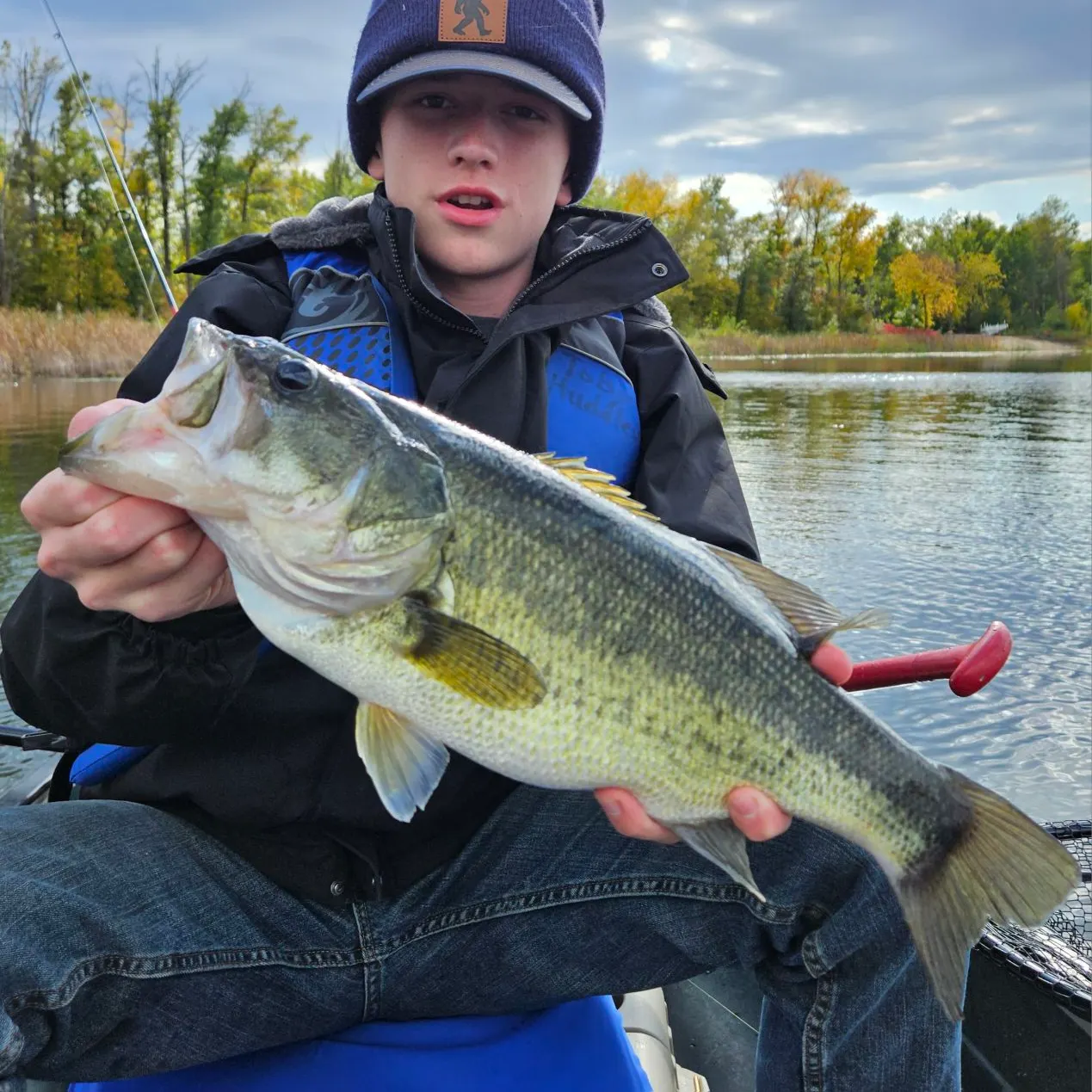 Largemouth bass caught on Fishbrain