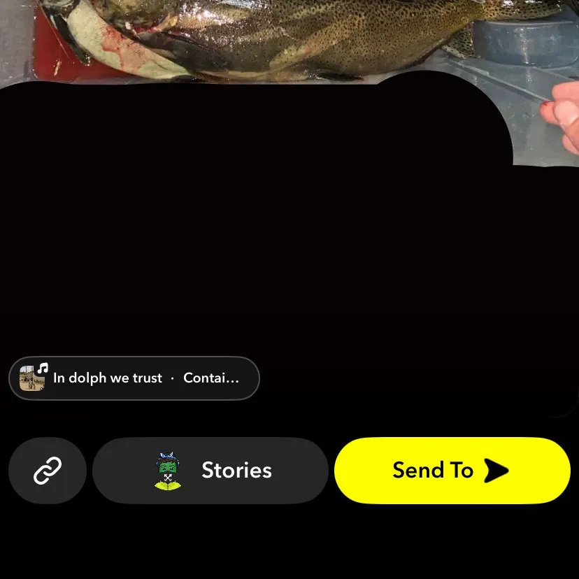 Chinook salmon caught on Fishbrain