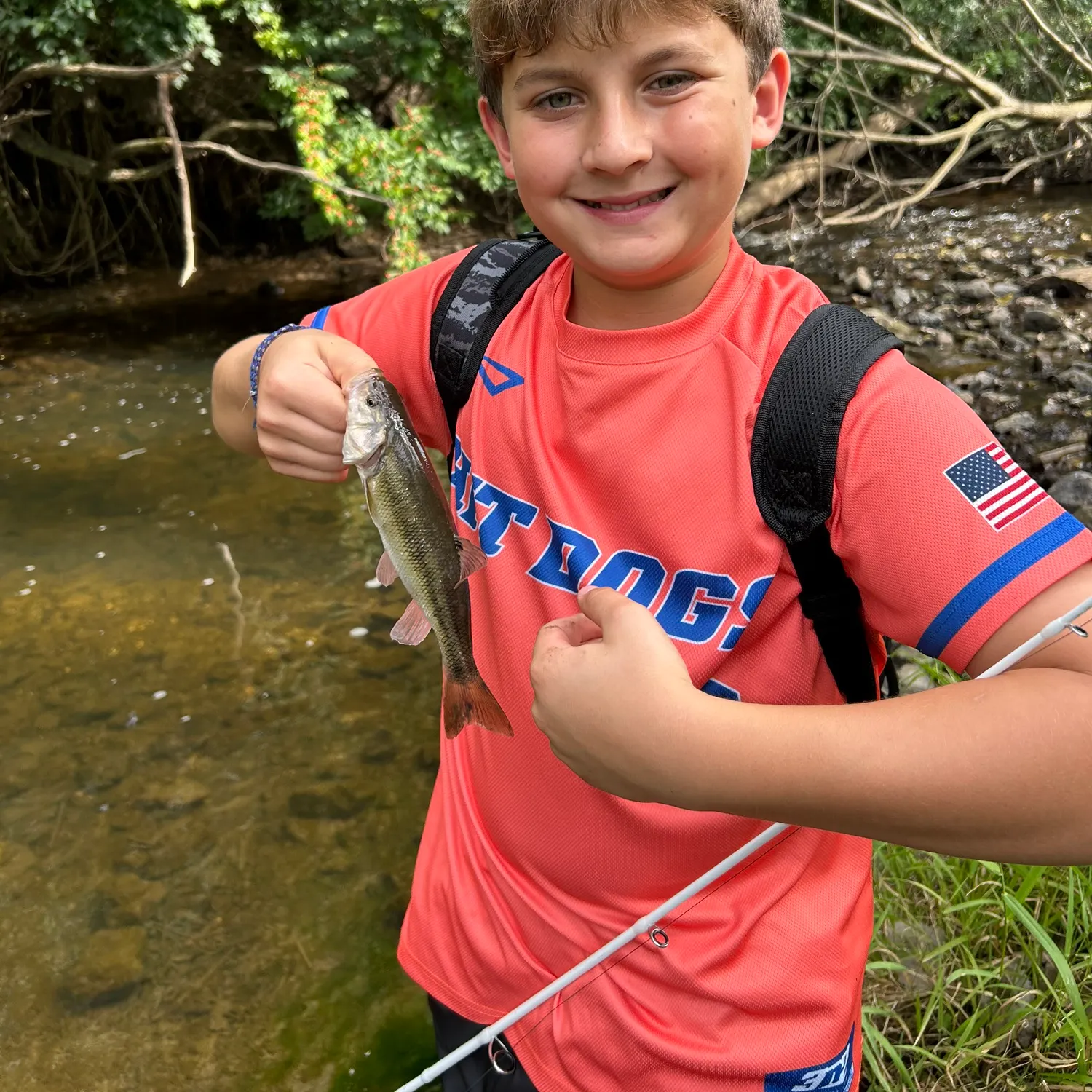 Smallmouth bass caught on Fishbrain